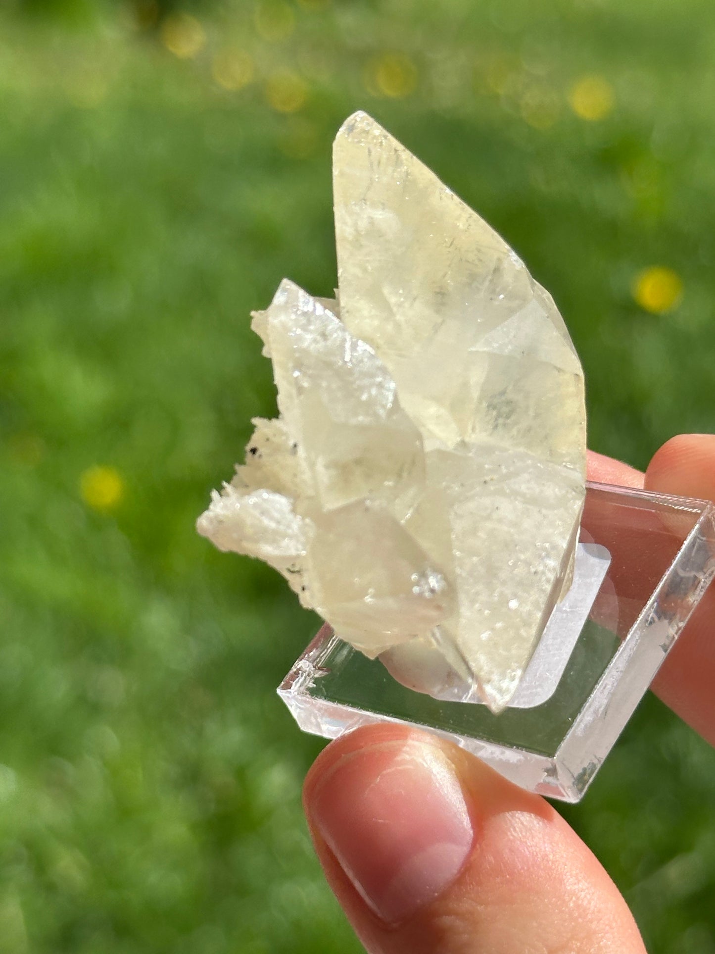 Elmwood calcite