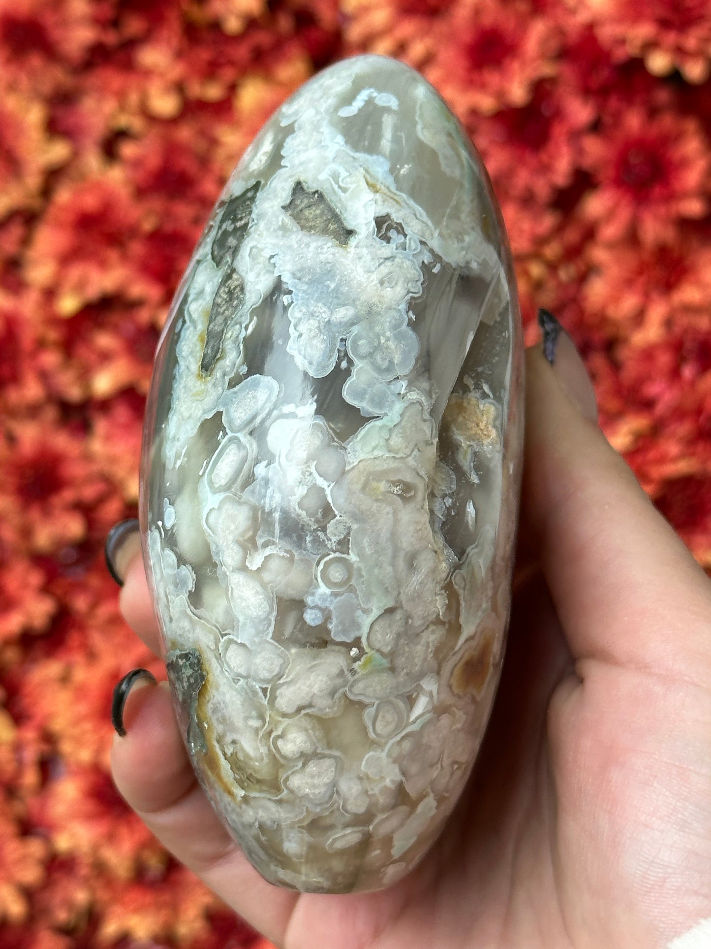Black Flower Agate Freeform