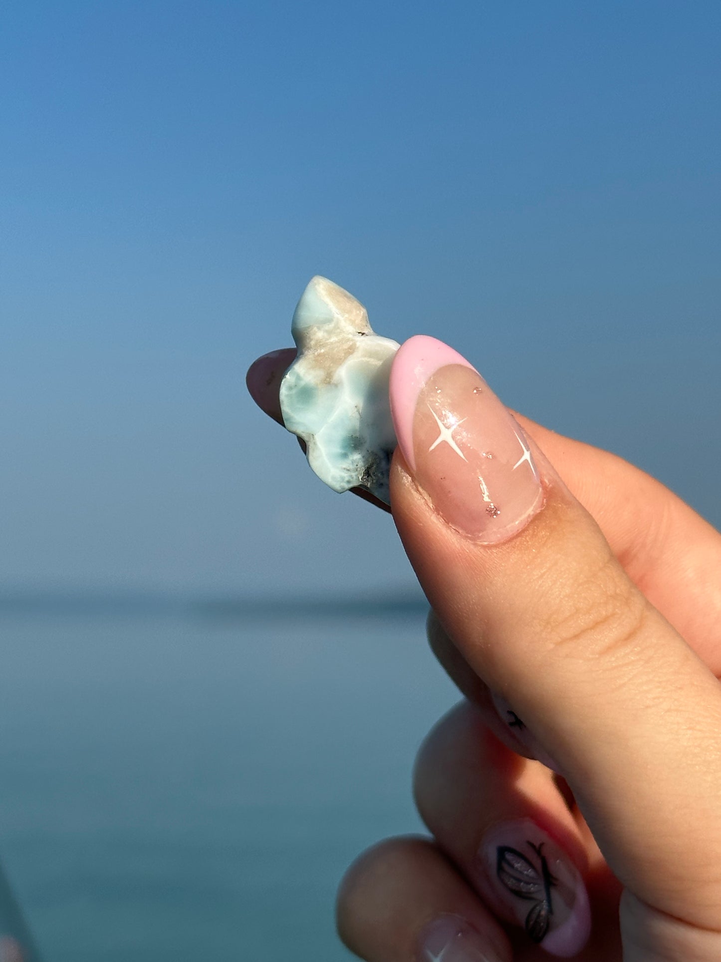 Larimar turtle