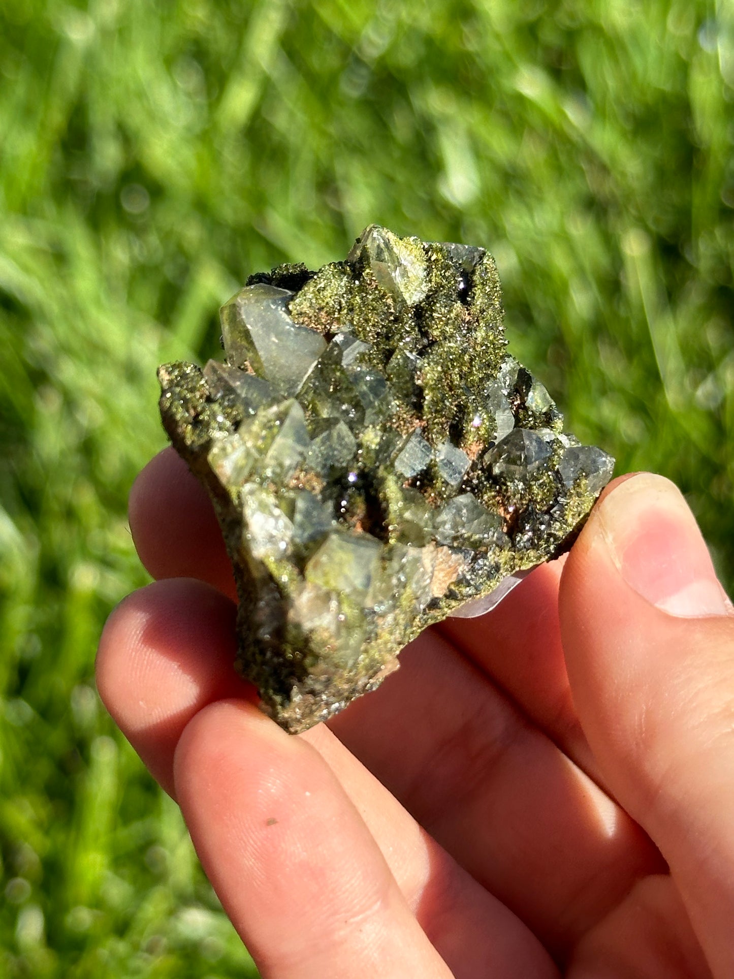 Forest epidote