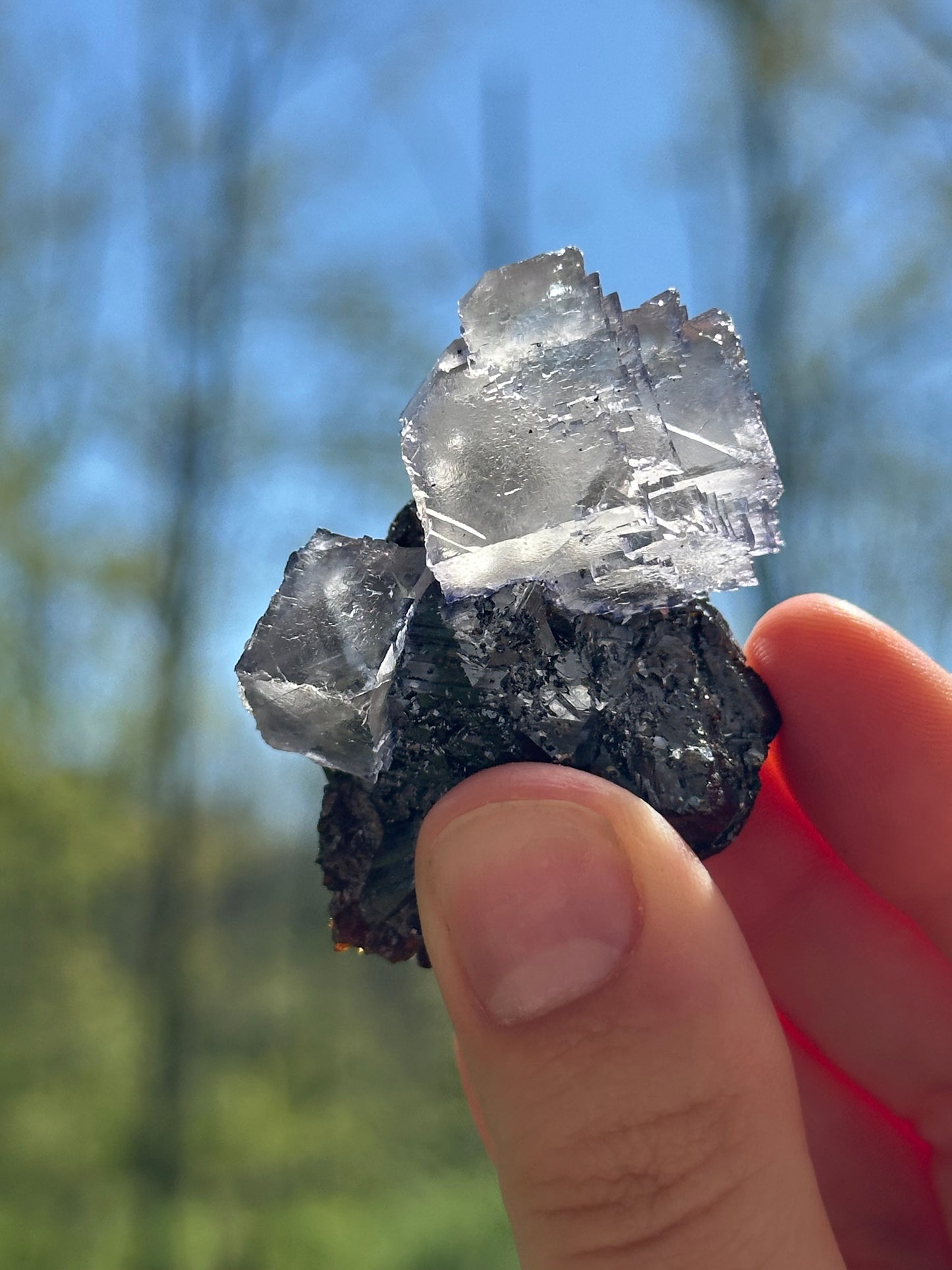 Elmwood fluorite on sphalerite