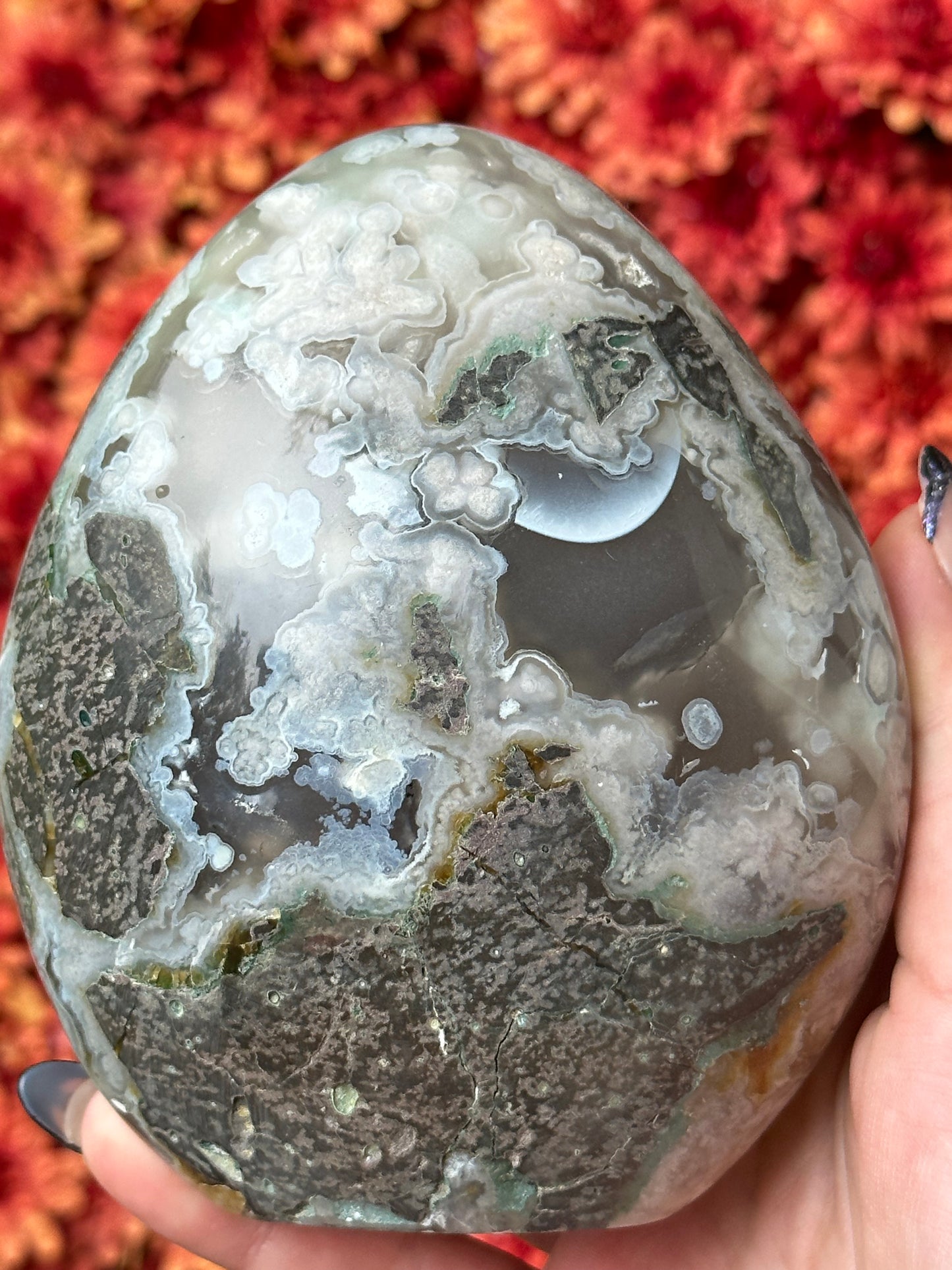Black Flower Agate Freeform