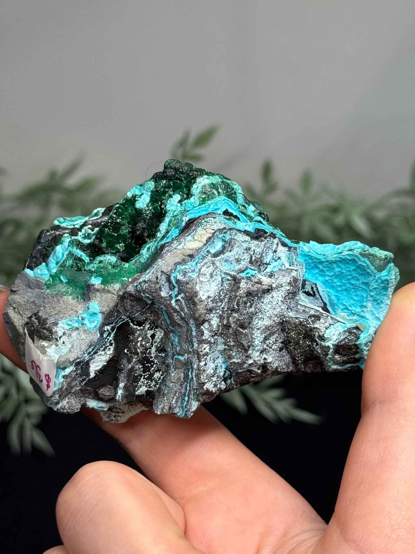 Malachite, Chrysocholla - Zaire
