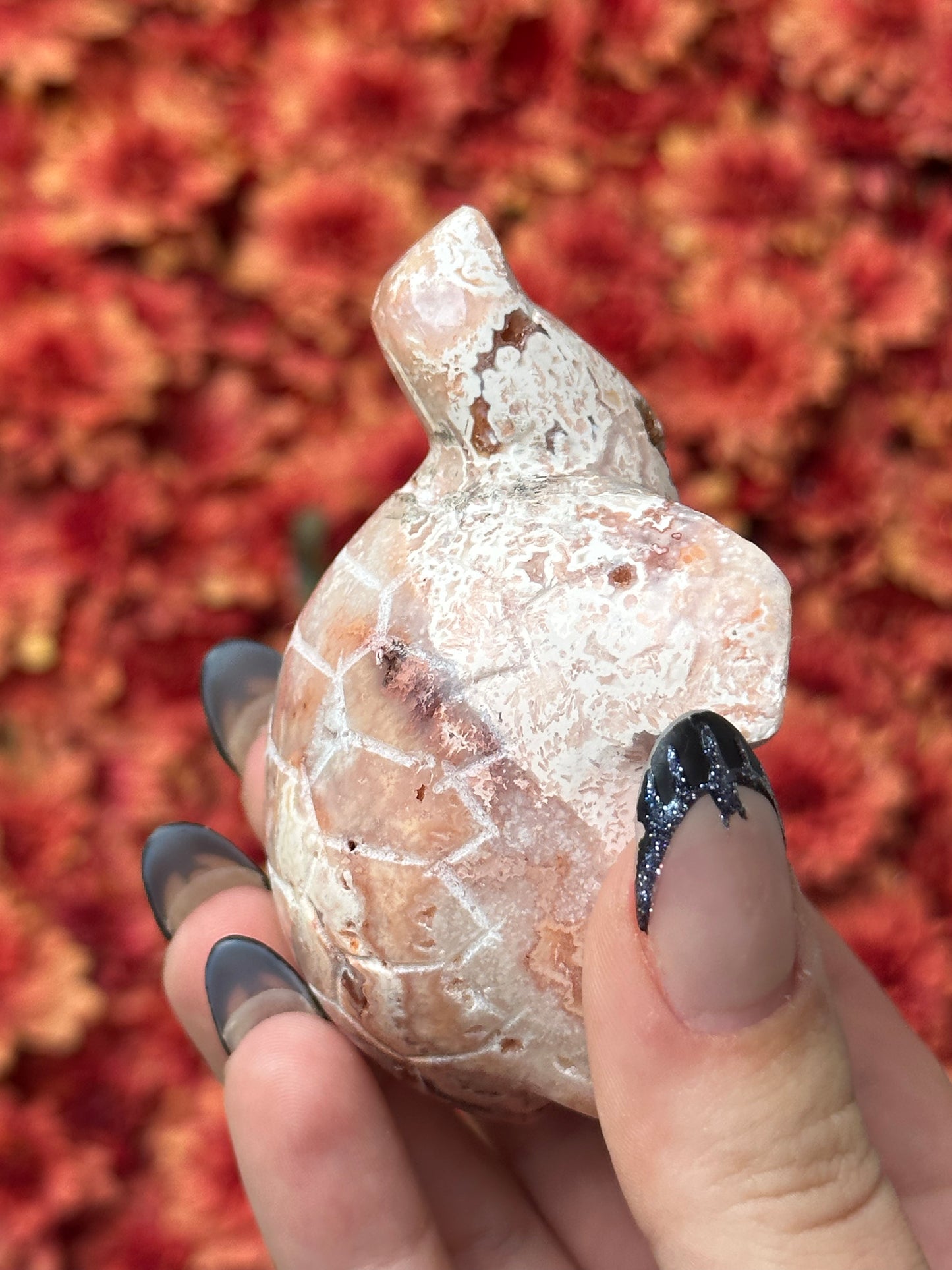 Pink crazy lace agate turtle