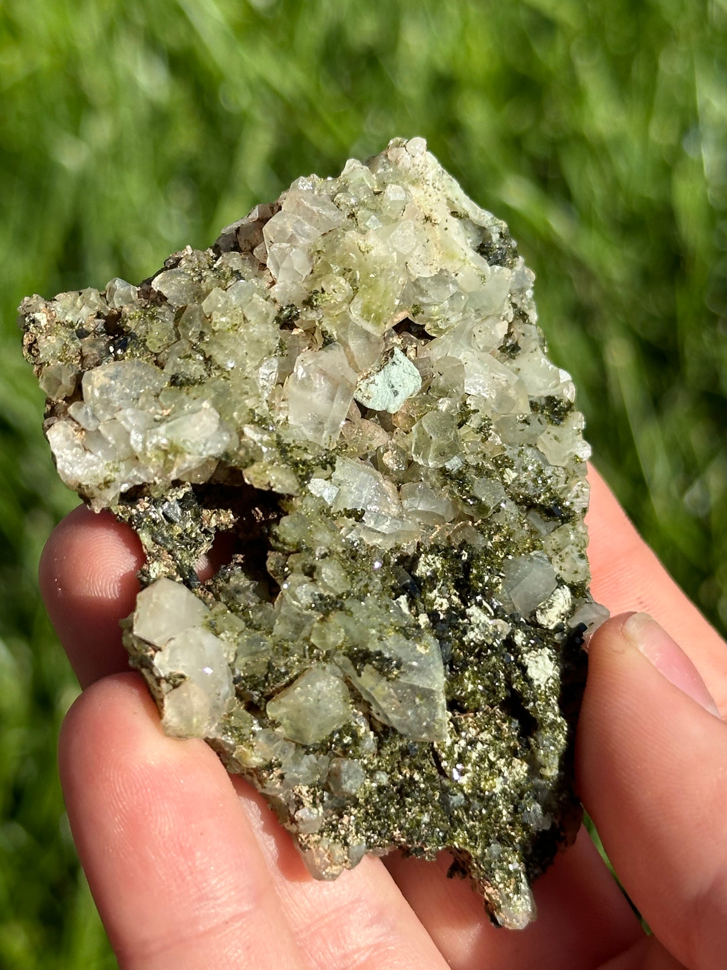 Forest Epidote