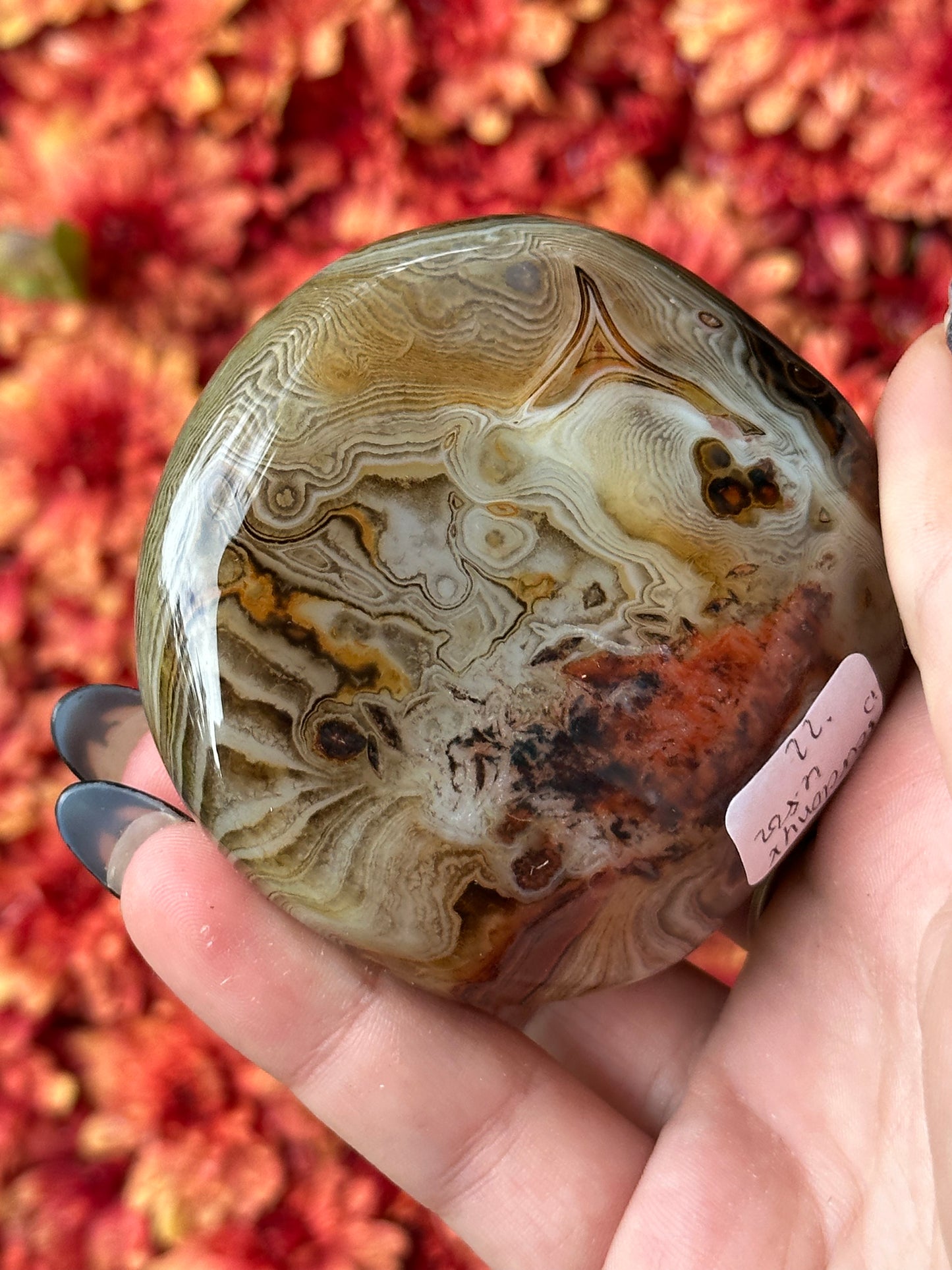 Sardonyx Palmstone