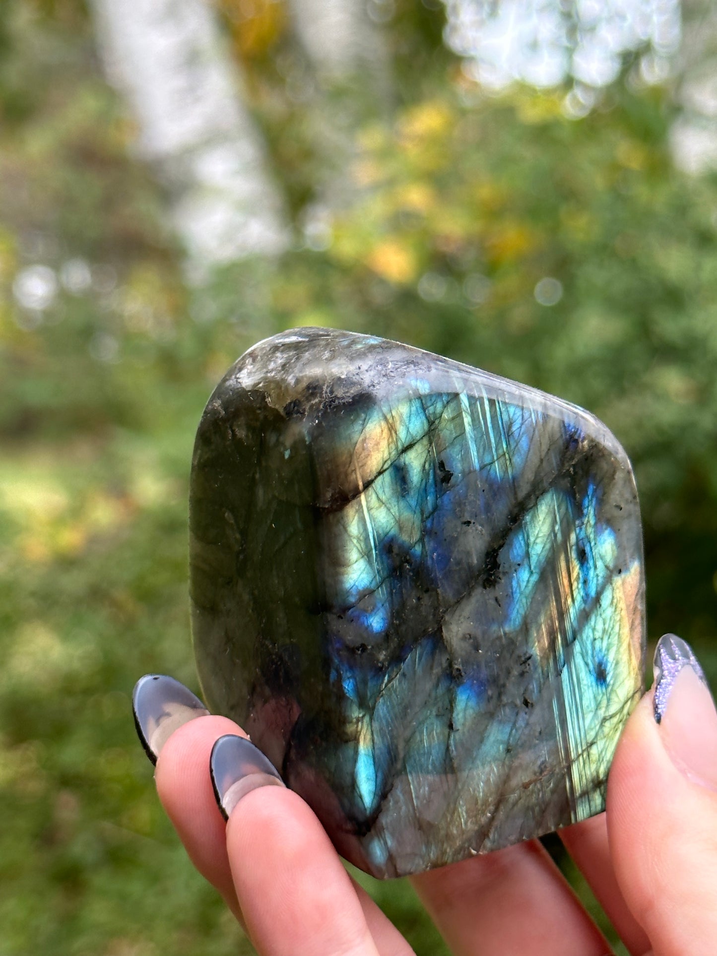 Labradorite Freeform
