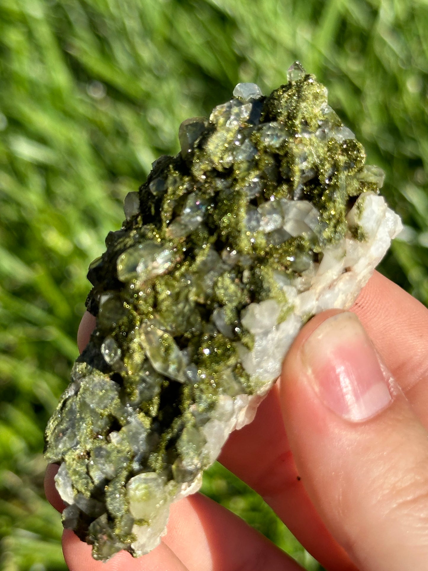 Forest Epidote