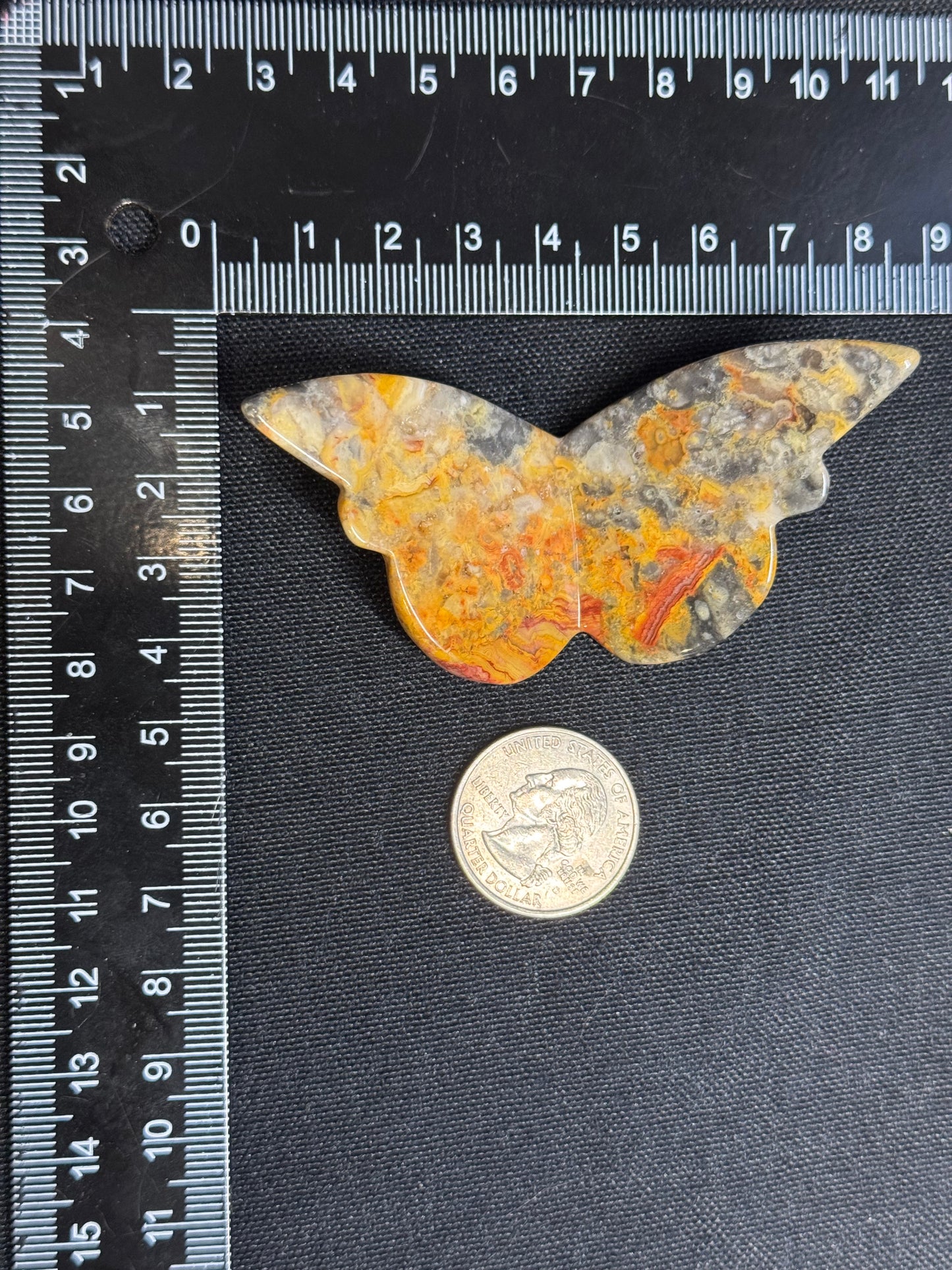 Crazy lace agate butterfly