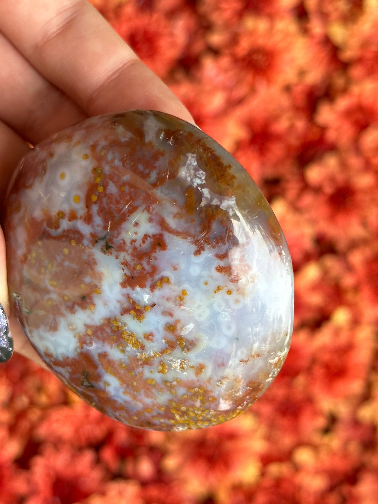 Ocean Jasper Palmstone- 8th Vein