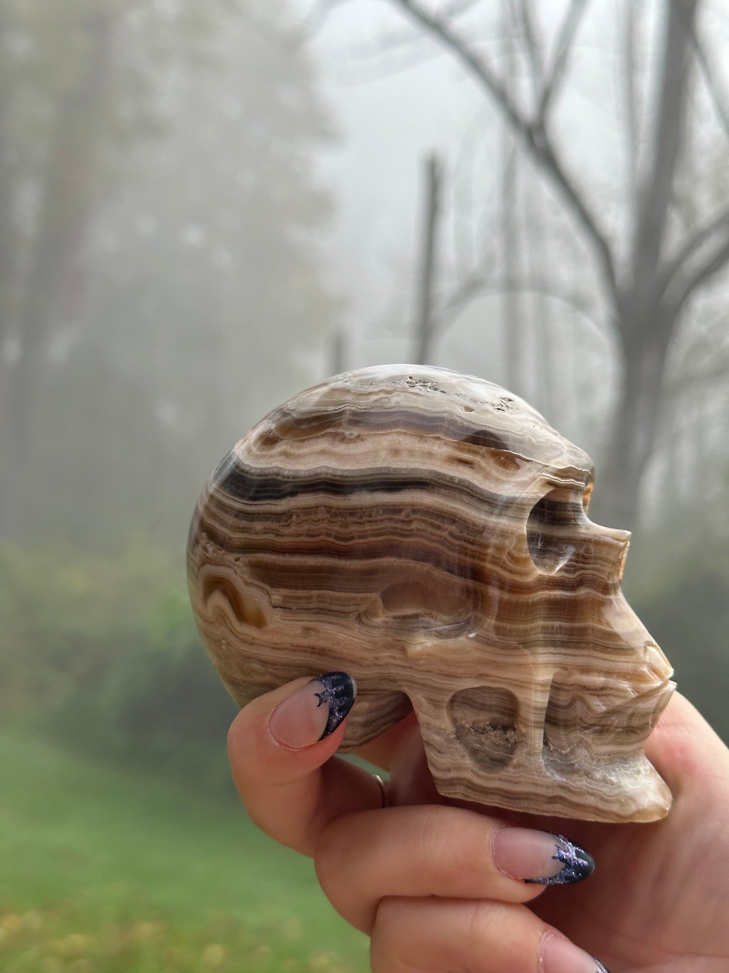 Chocolate calcite skull
