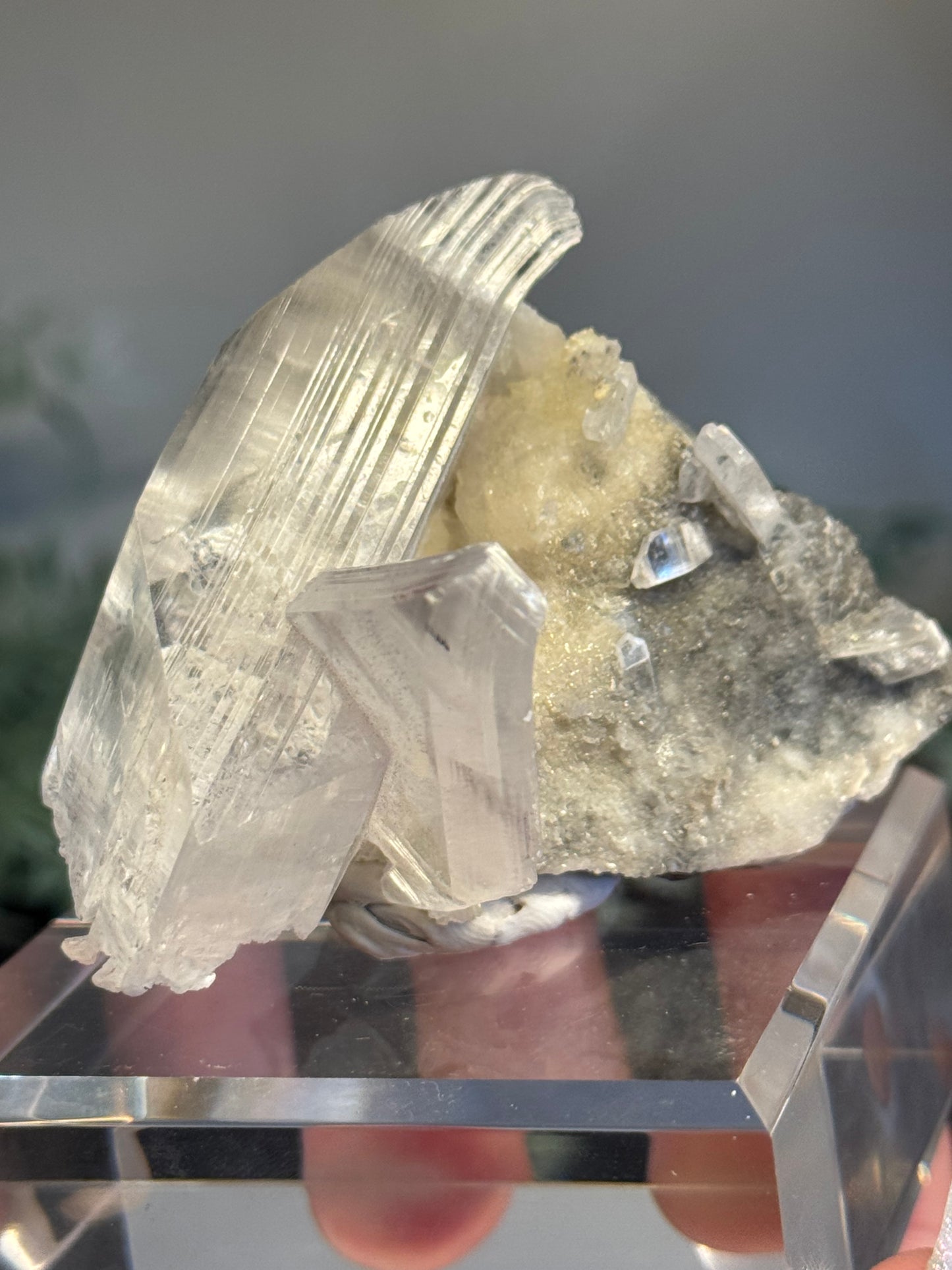 Niaca Selenite