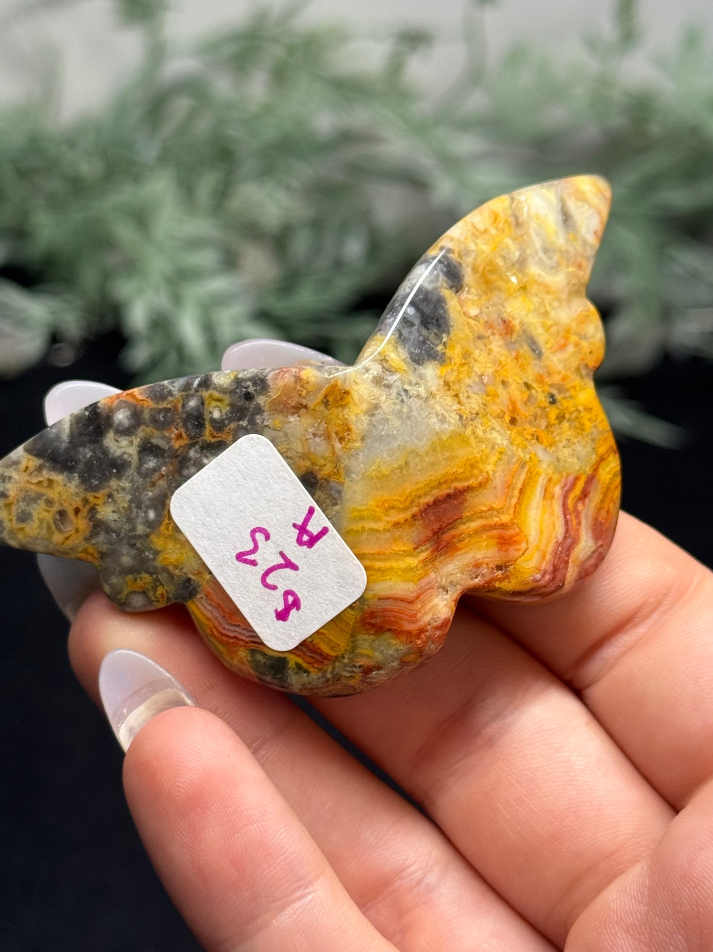 Crazy lace agate butterfly
