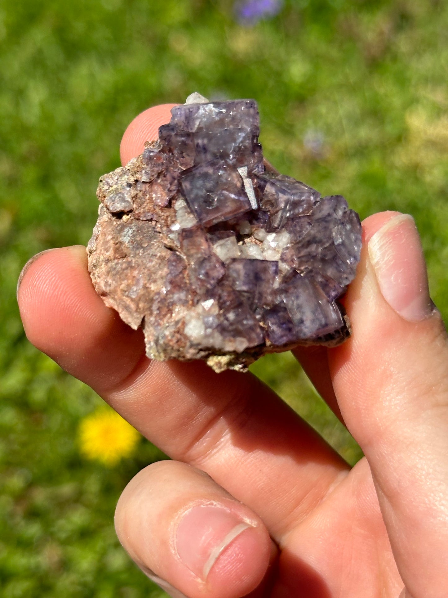 Colorado fluorite