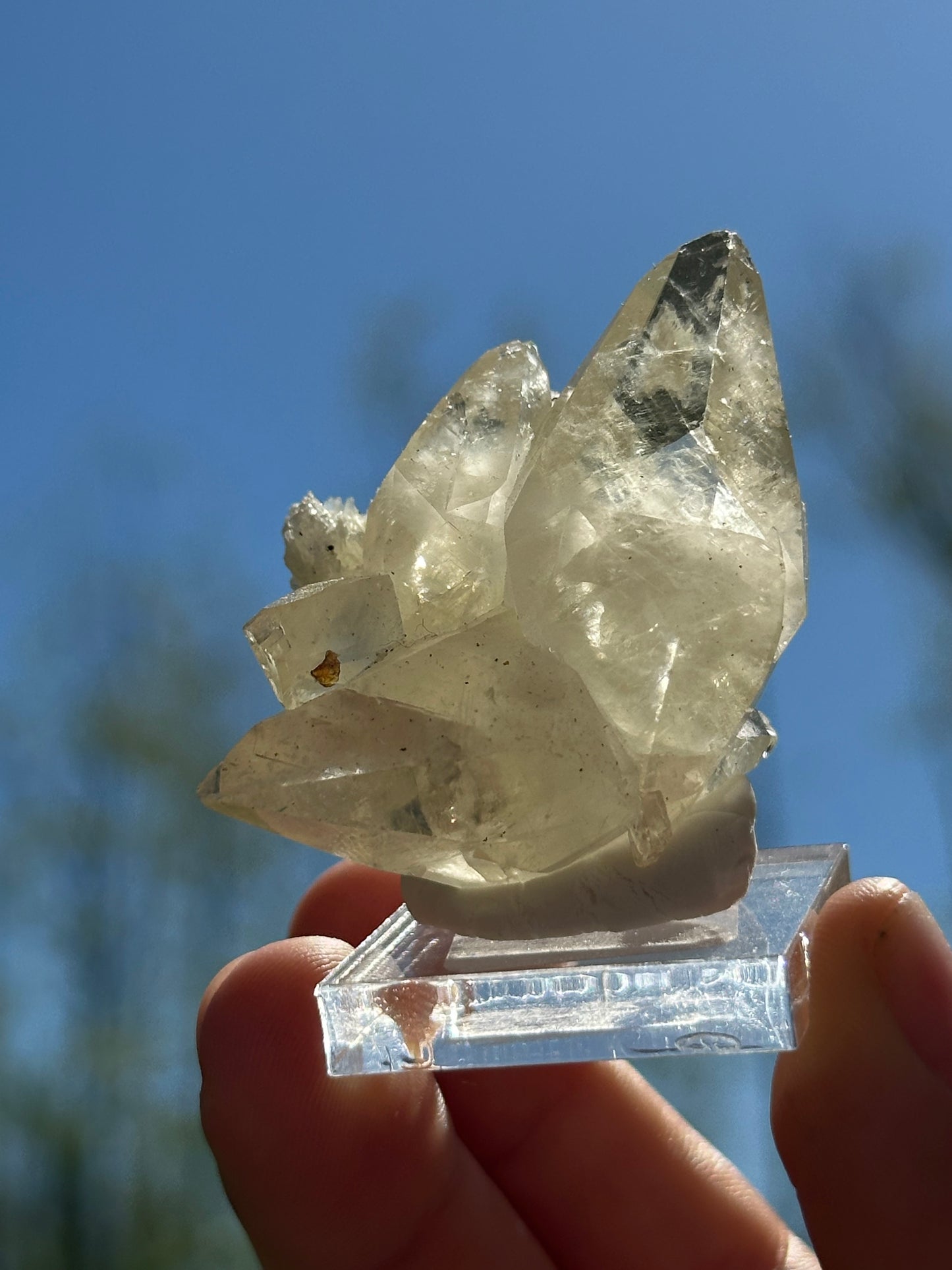 Elmwood calcite