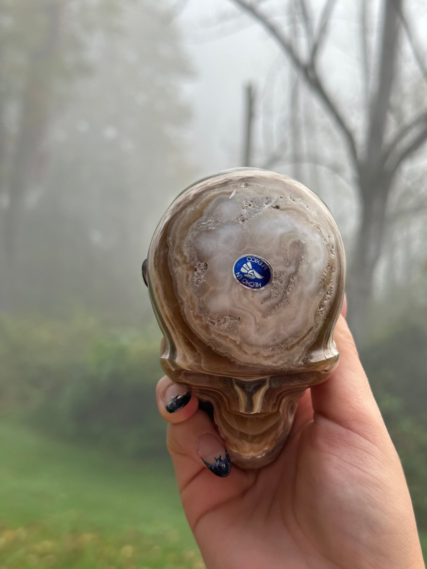 Chocolate calcite skull