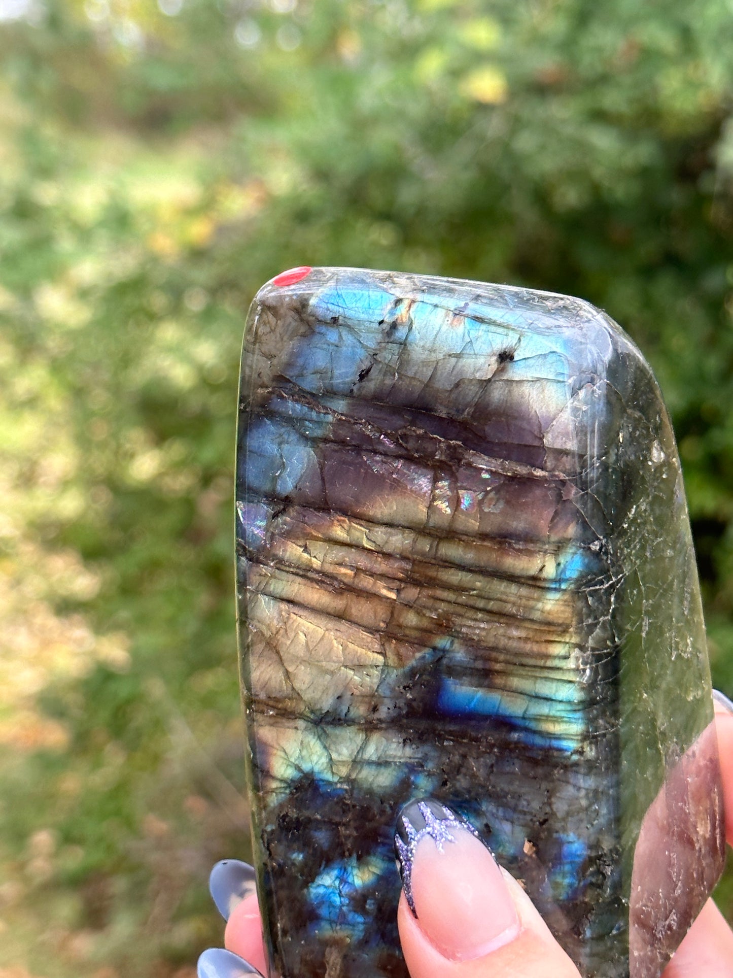 Labradorite Freeform