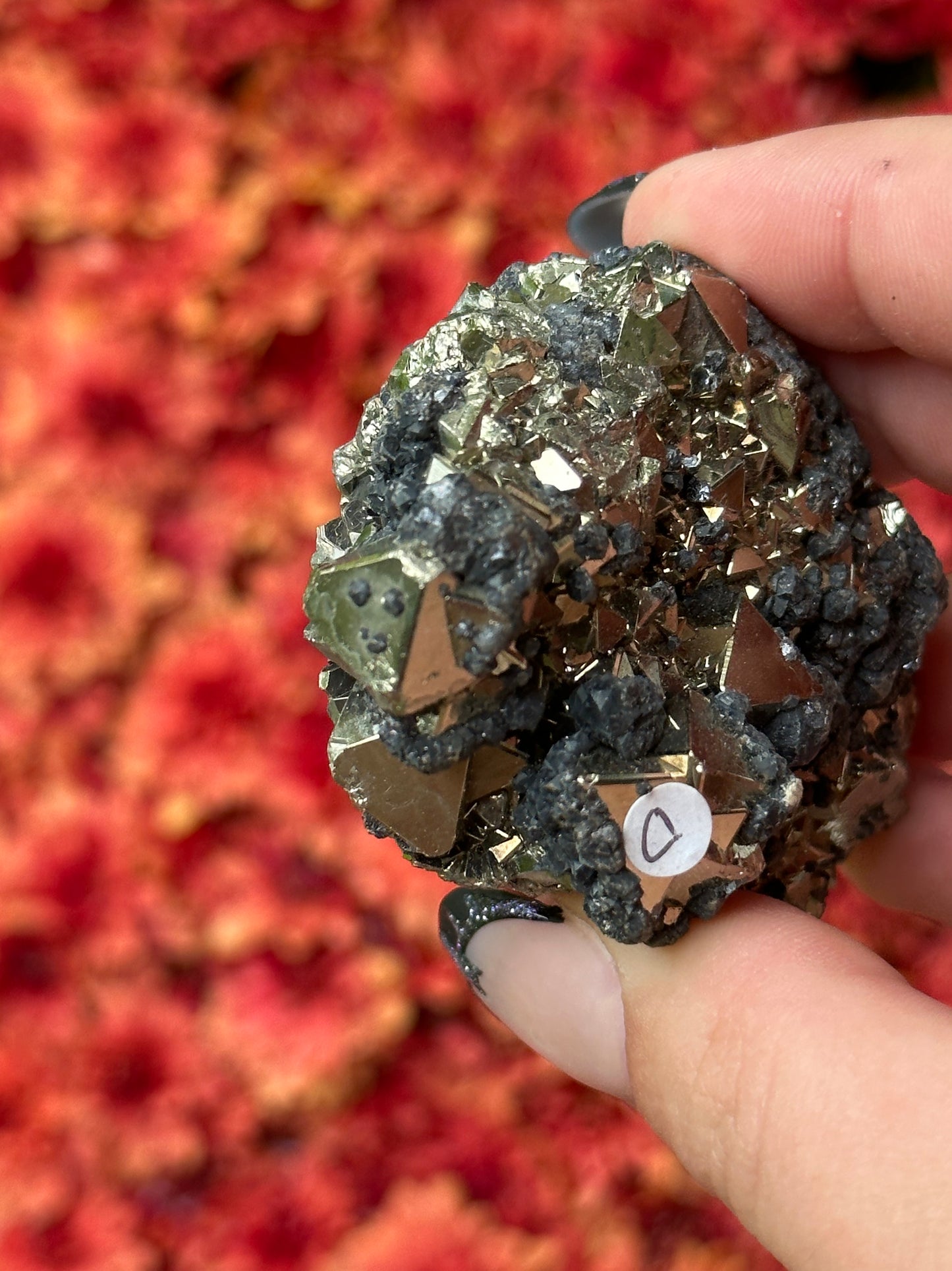 Octahedron Pyrite