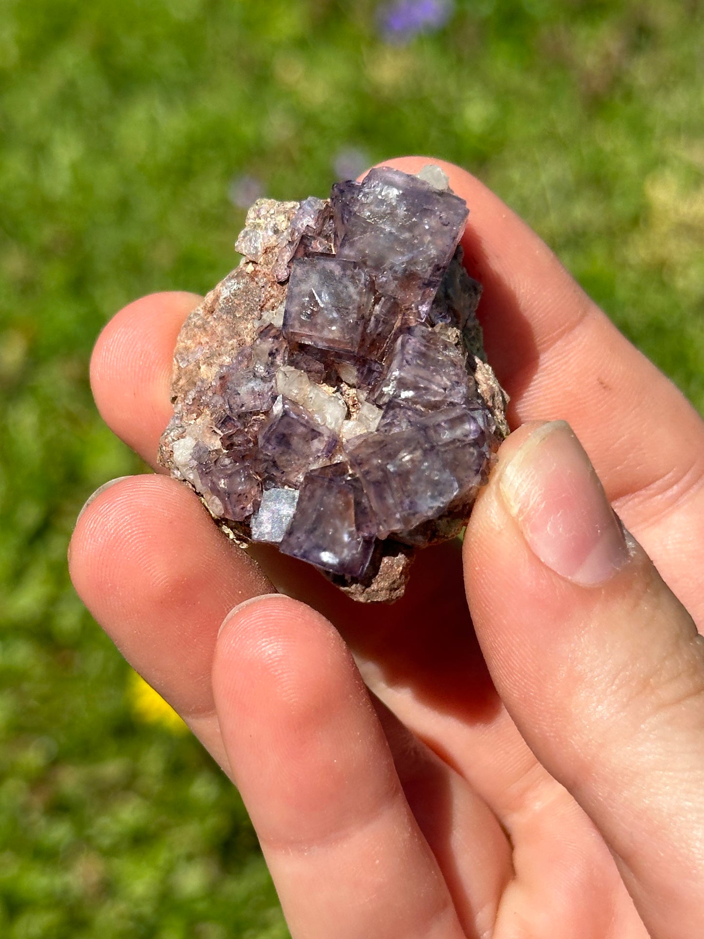 Colorado fluorite