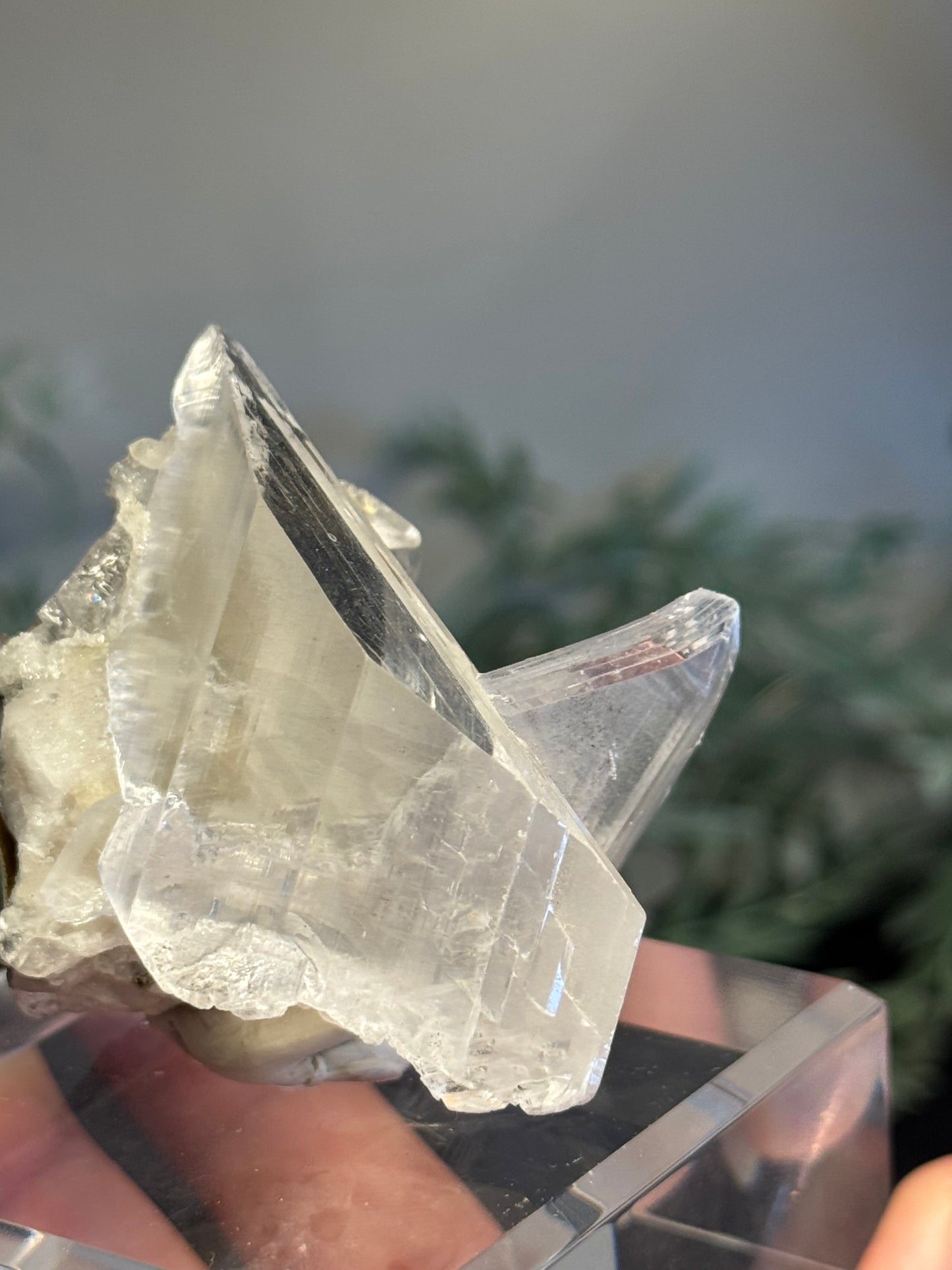 Niaca Selenite