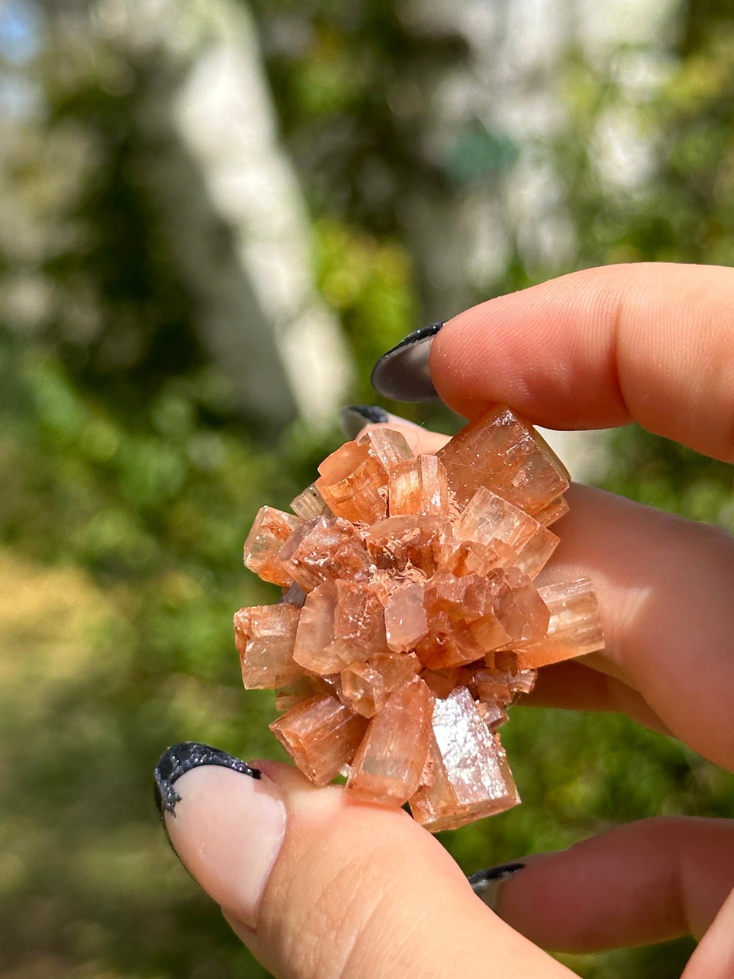 Aragonite