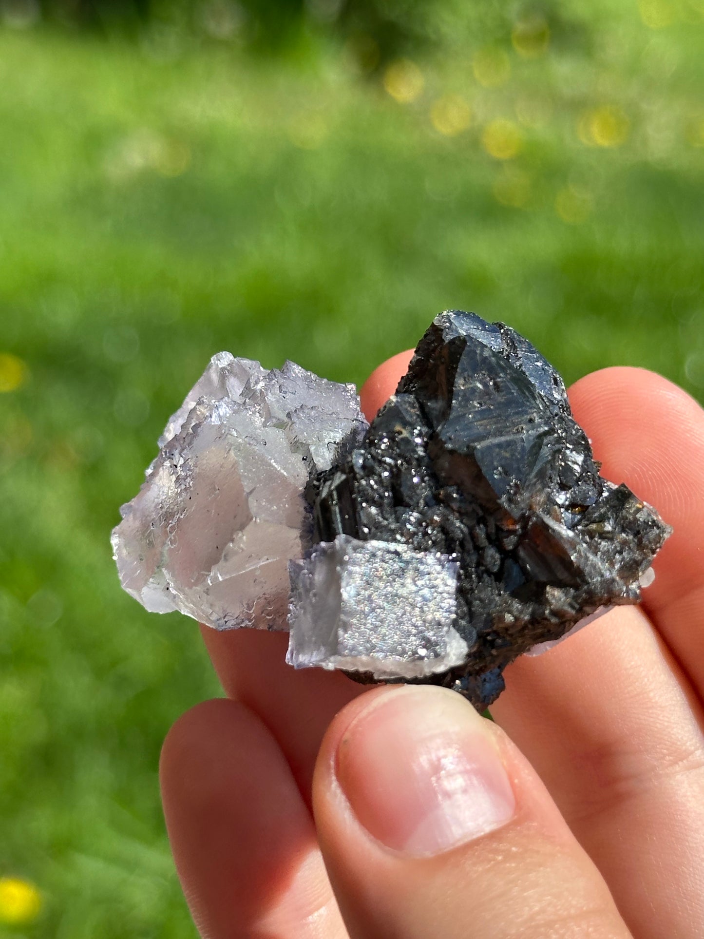Elmwood fluorite on sphalerite