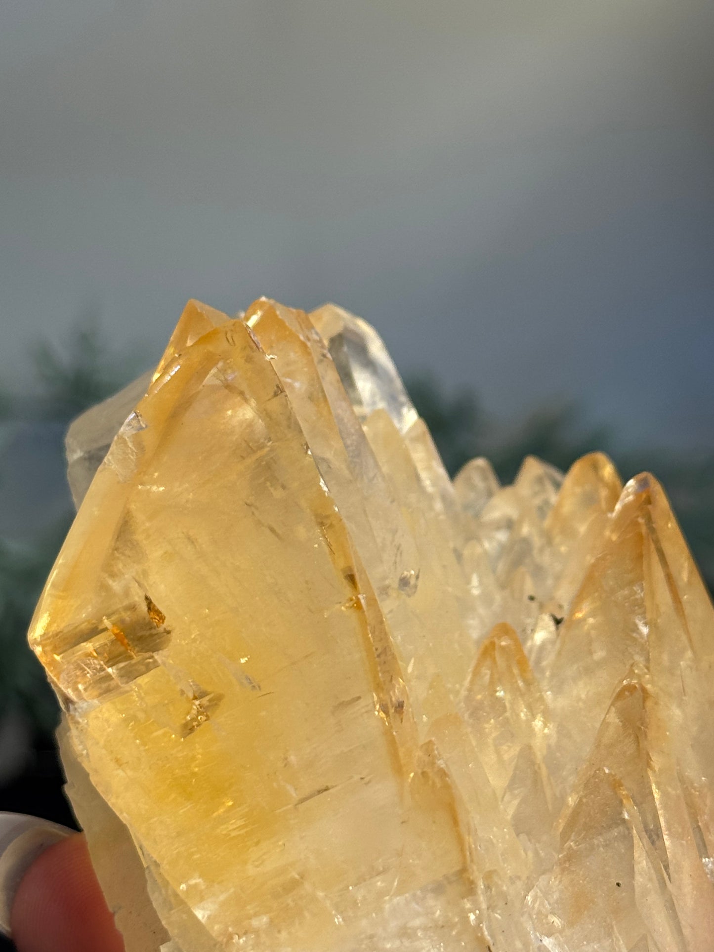 Elmwood calcite
