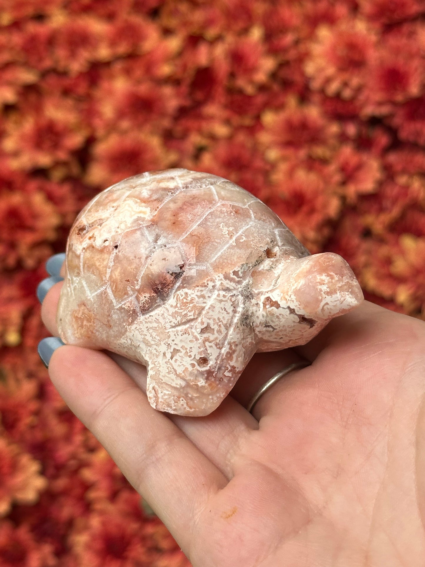 Pink crazy lace agate turtle