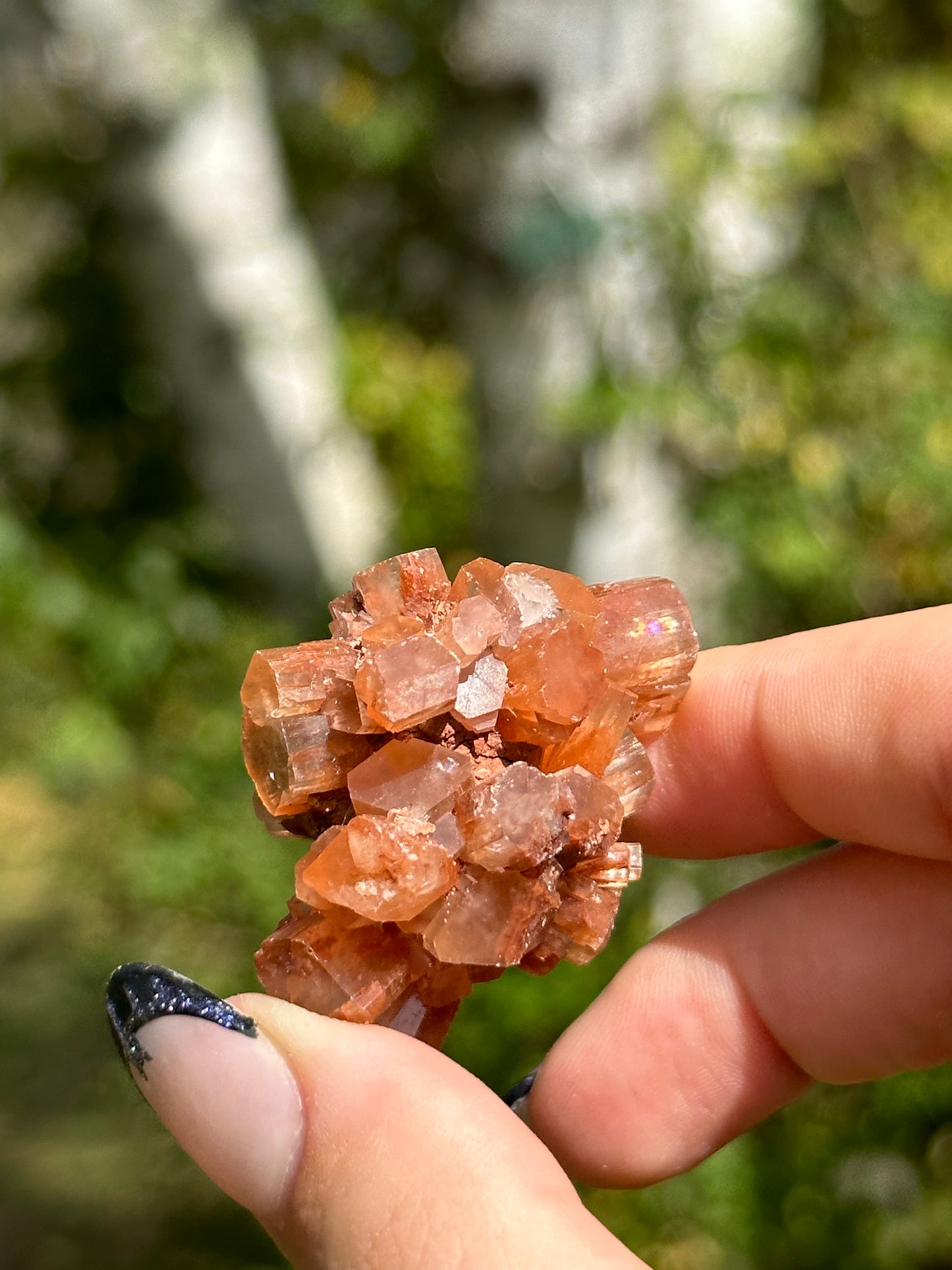 Aragonite