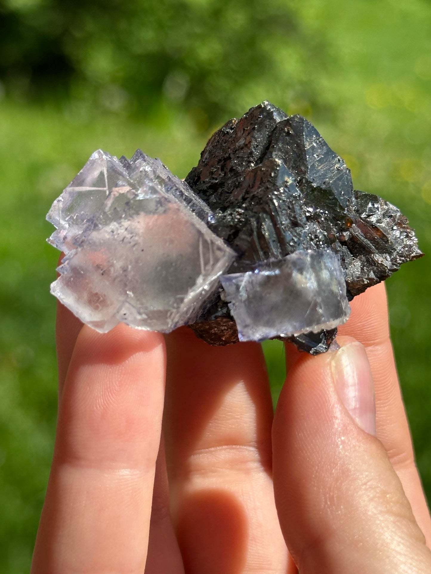 Elmwood fluorite on sphalerite