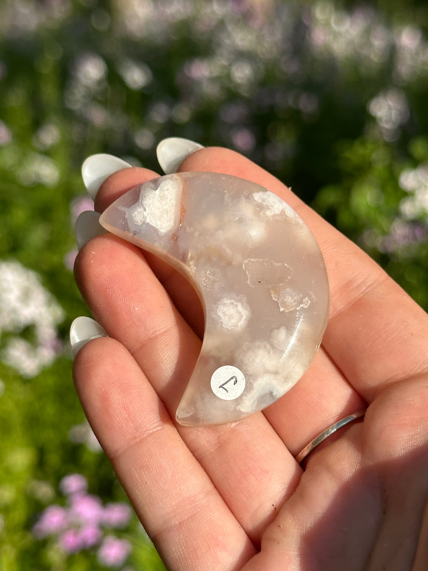 Flower Agate Moons