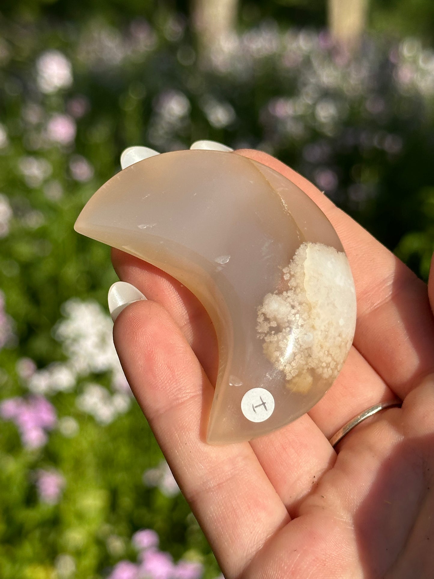 Flower Agate Moons