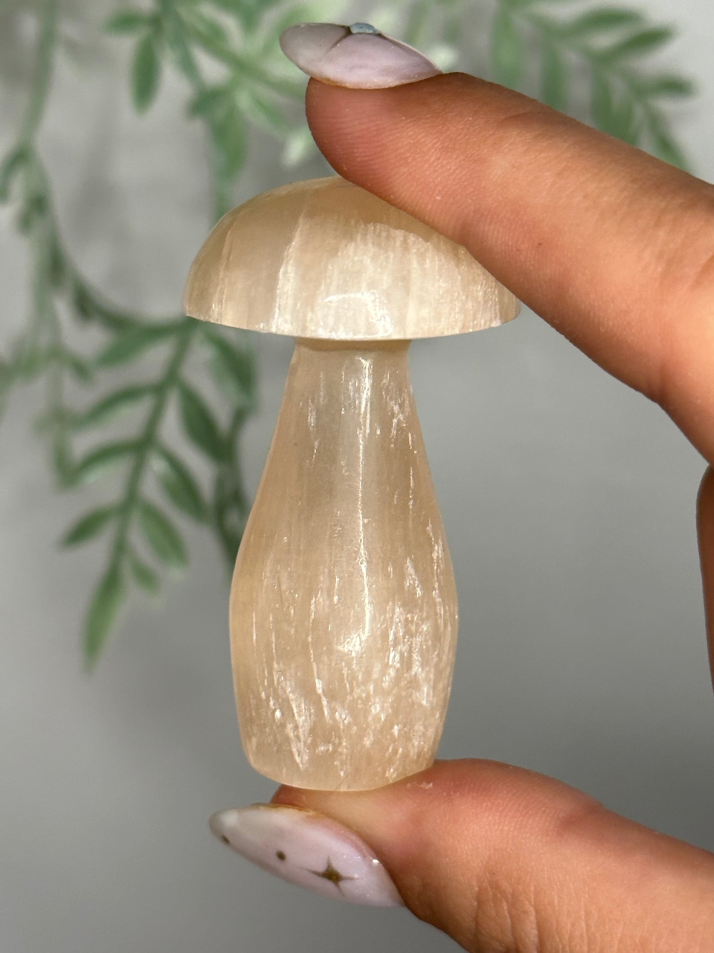 Peach Satin Spar Selenite Mushroom