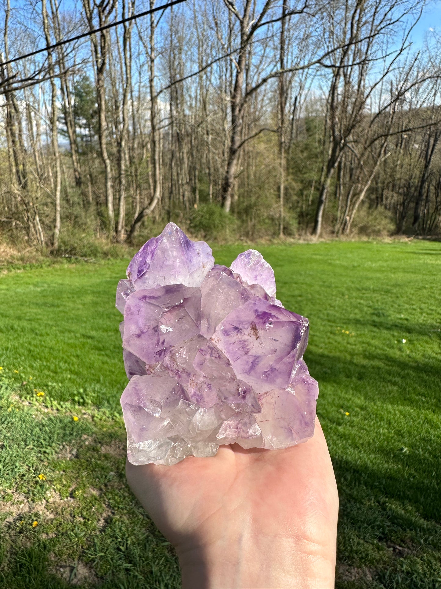 Amethyst Cut Base