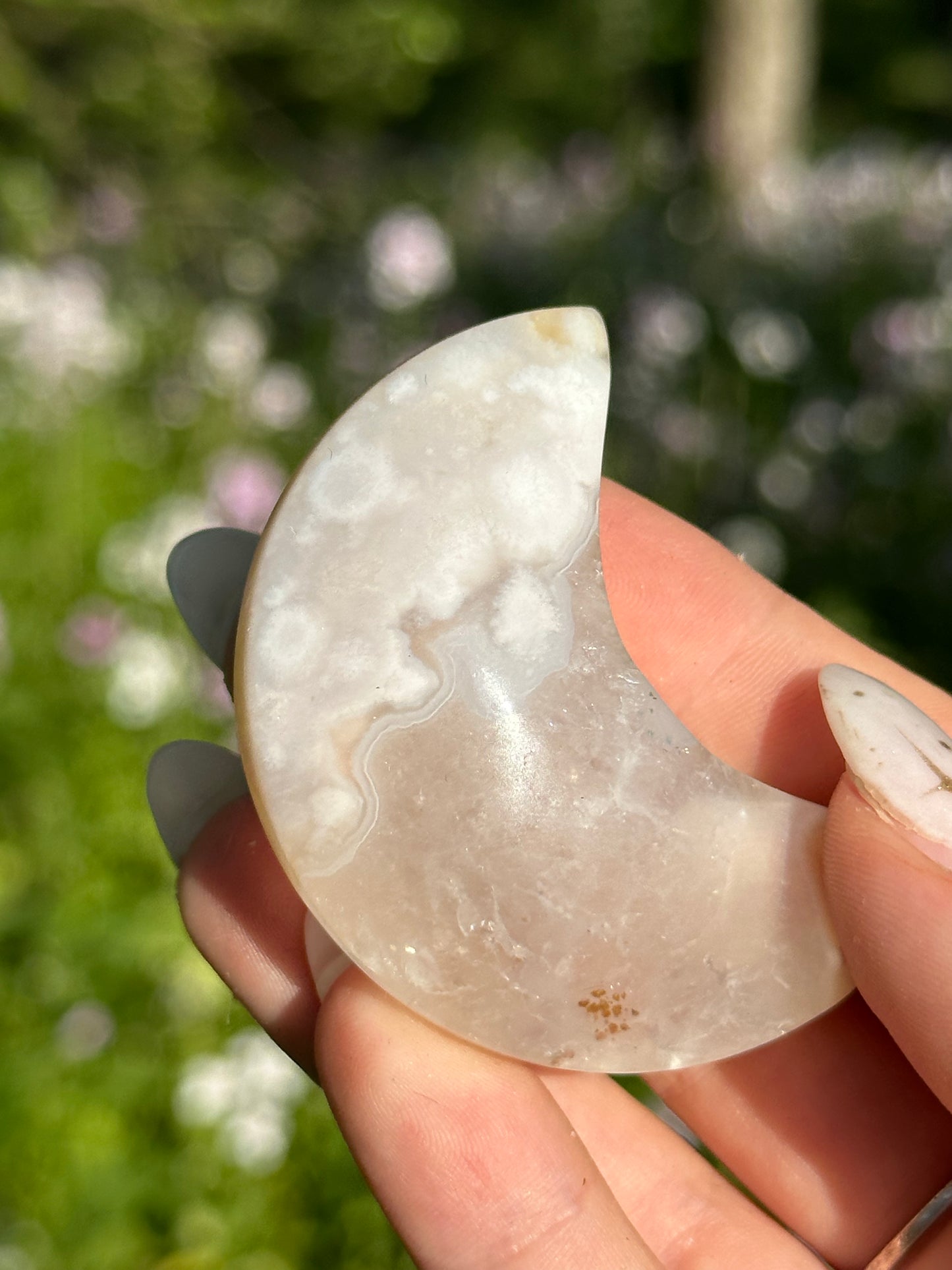 Flower Agate Moons