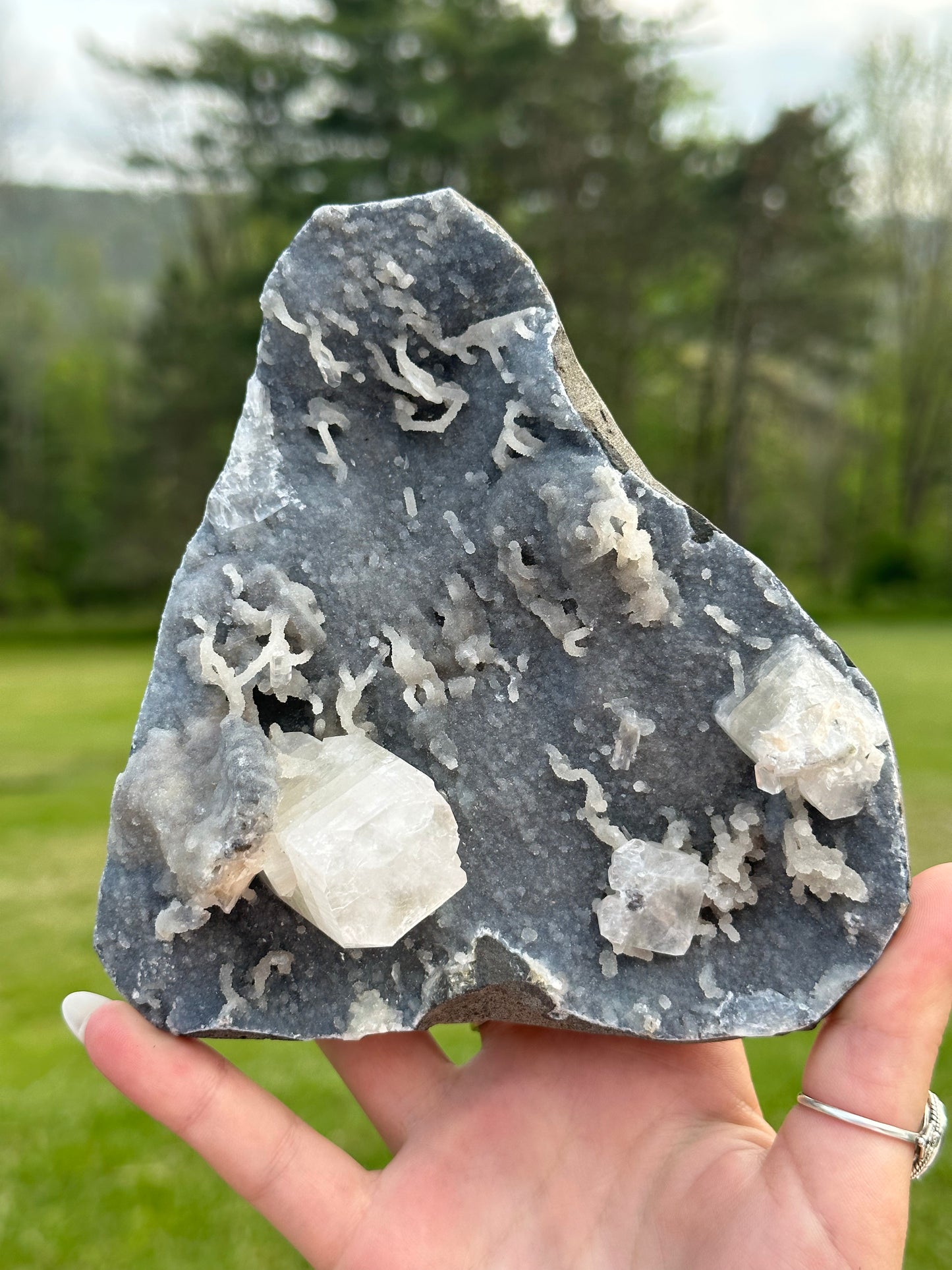 Apophyllite Cubes on Black Chalcedony