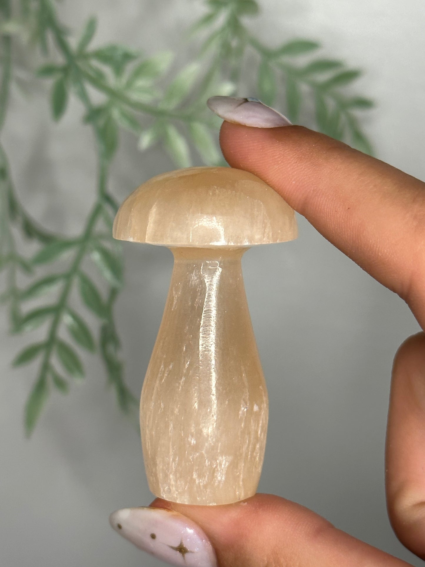 Peach Satin Spar Selenite Mushroom
