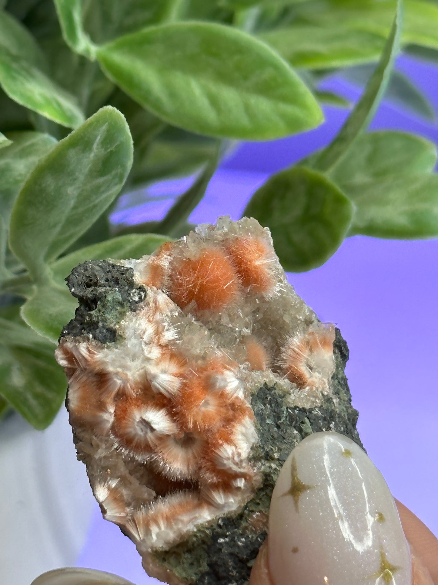 Thomsonite with White Mesolite