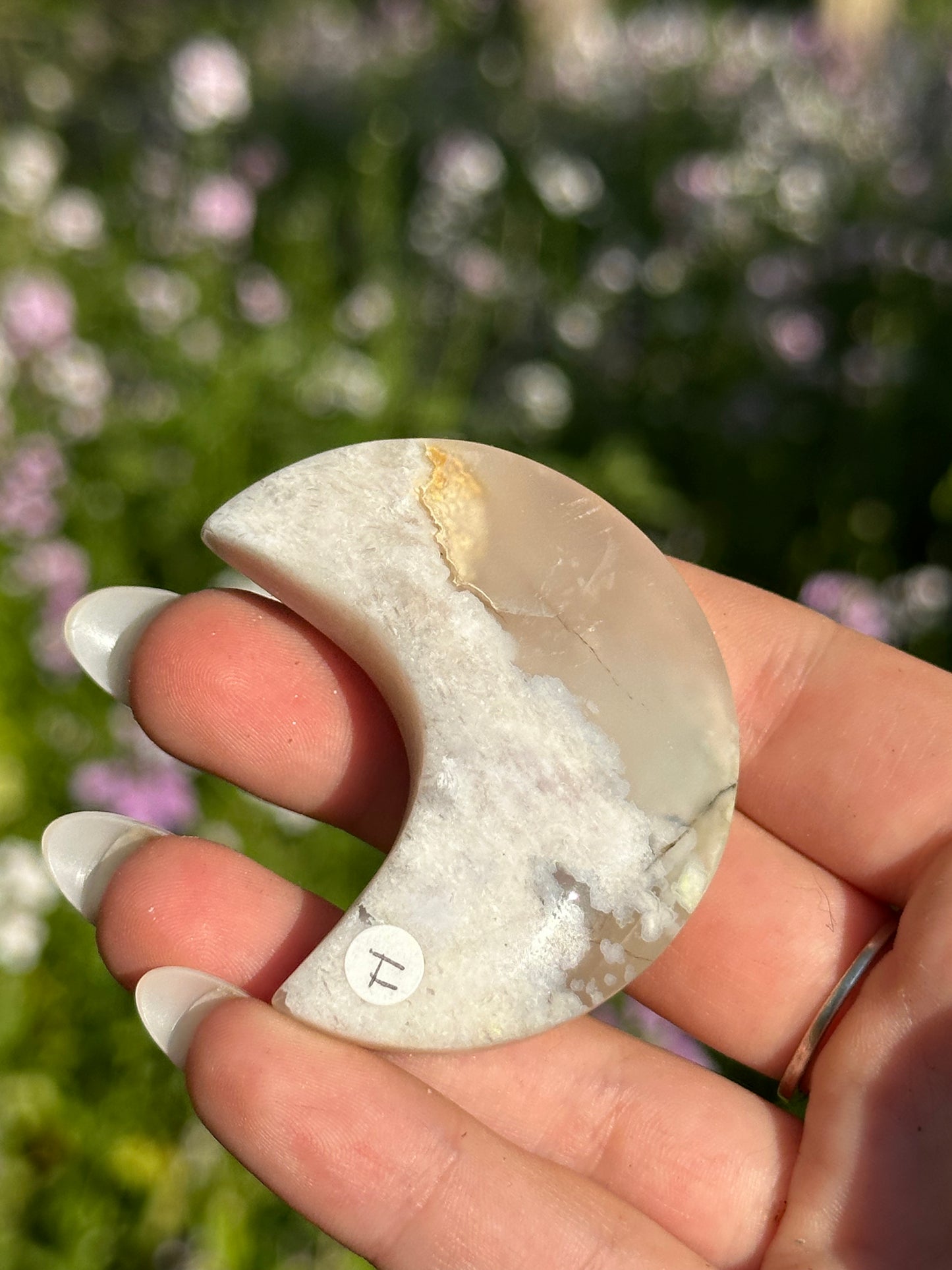 Flower Agate Moons