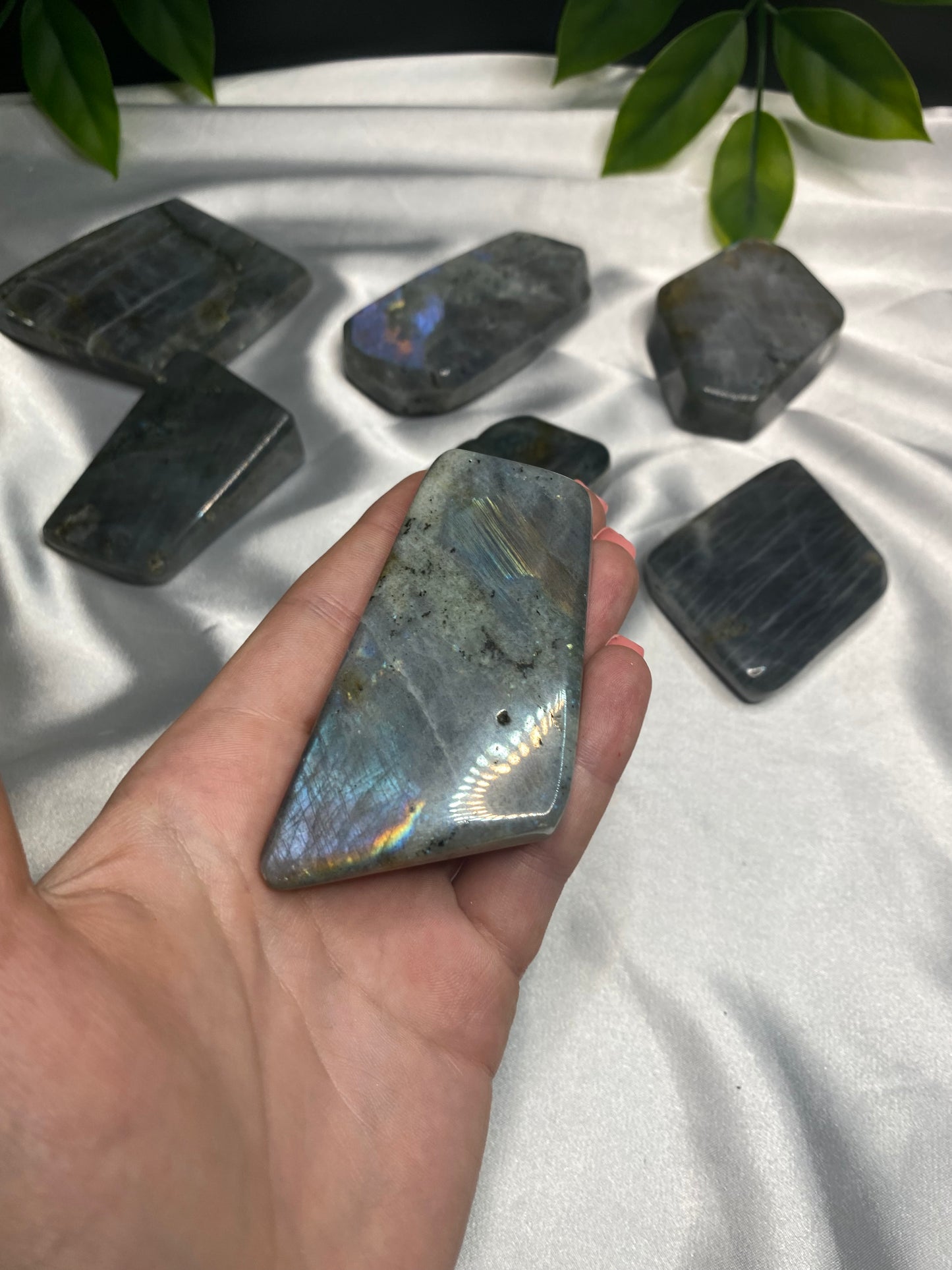 Small Labradorite Freeforms