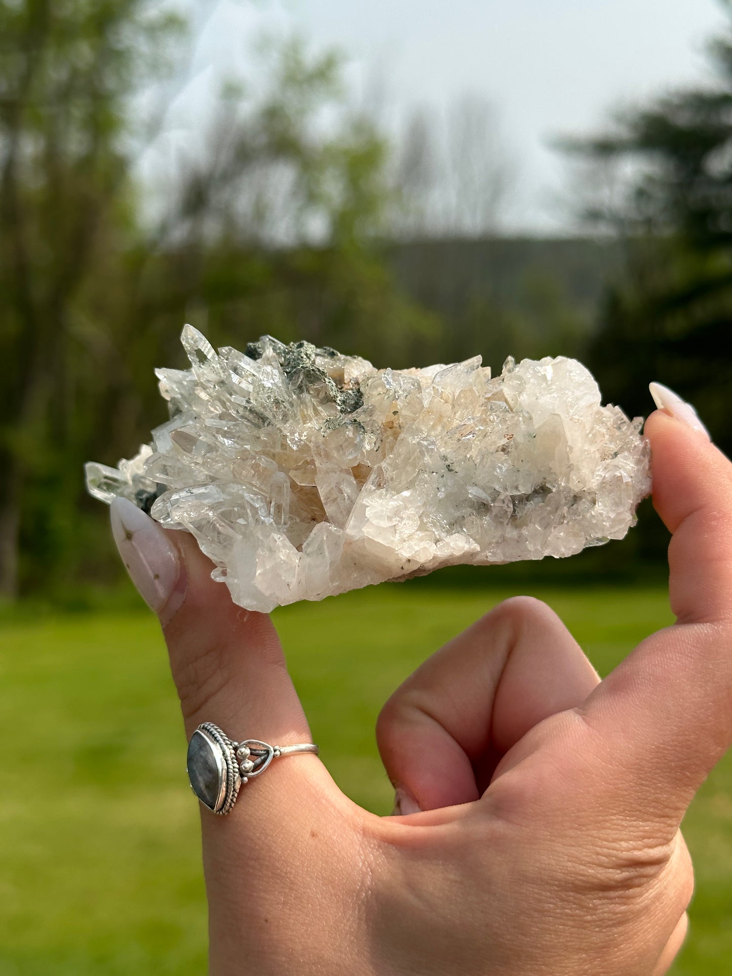 Chlorite Quartz