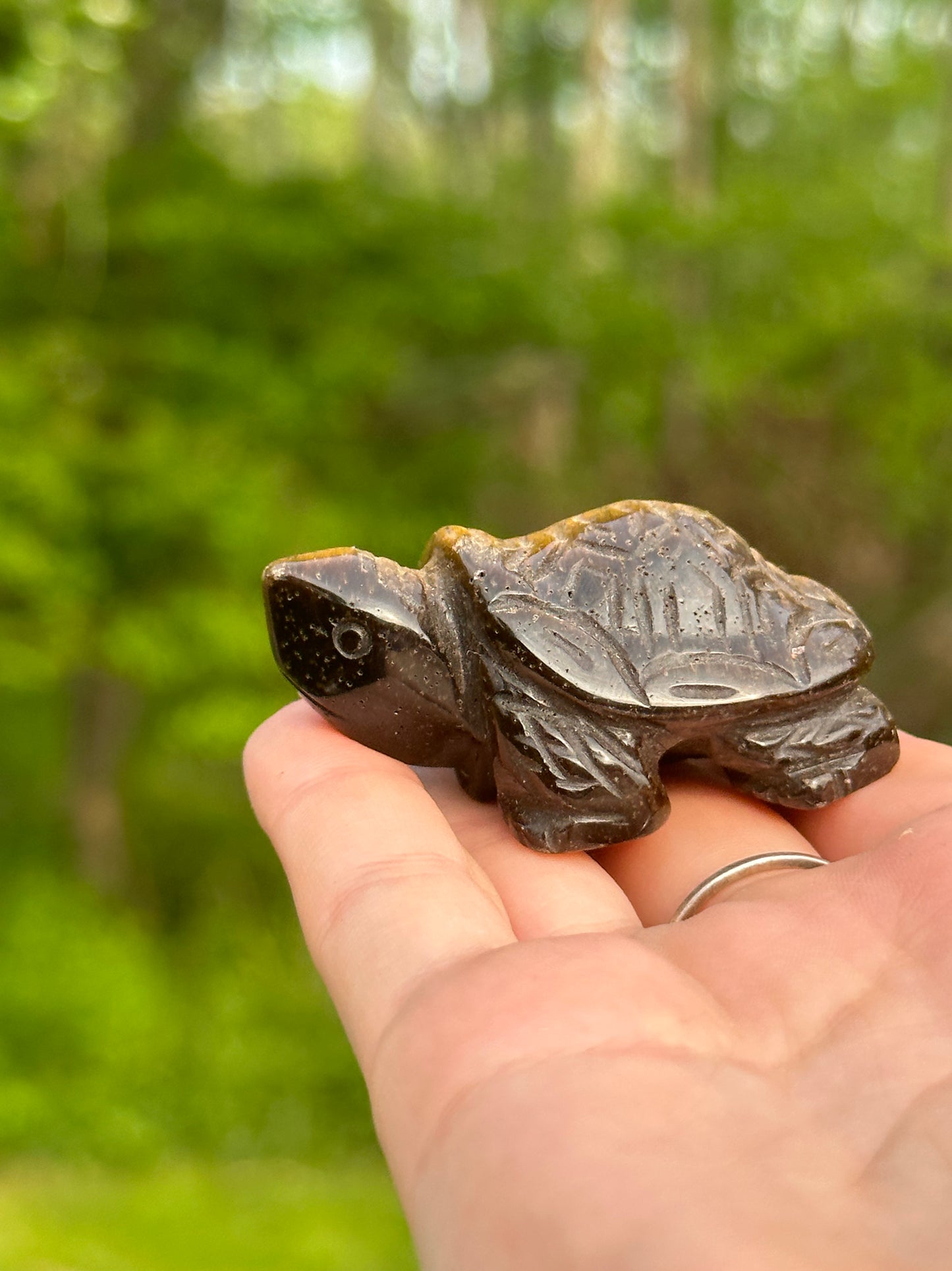Tigers Eye Turtle