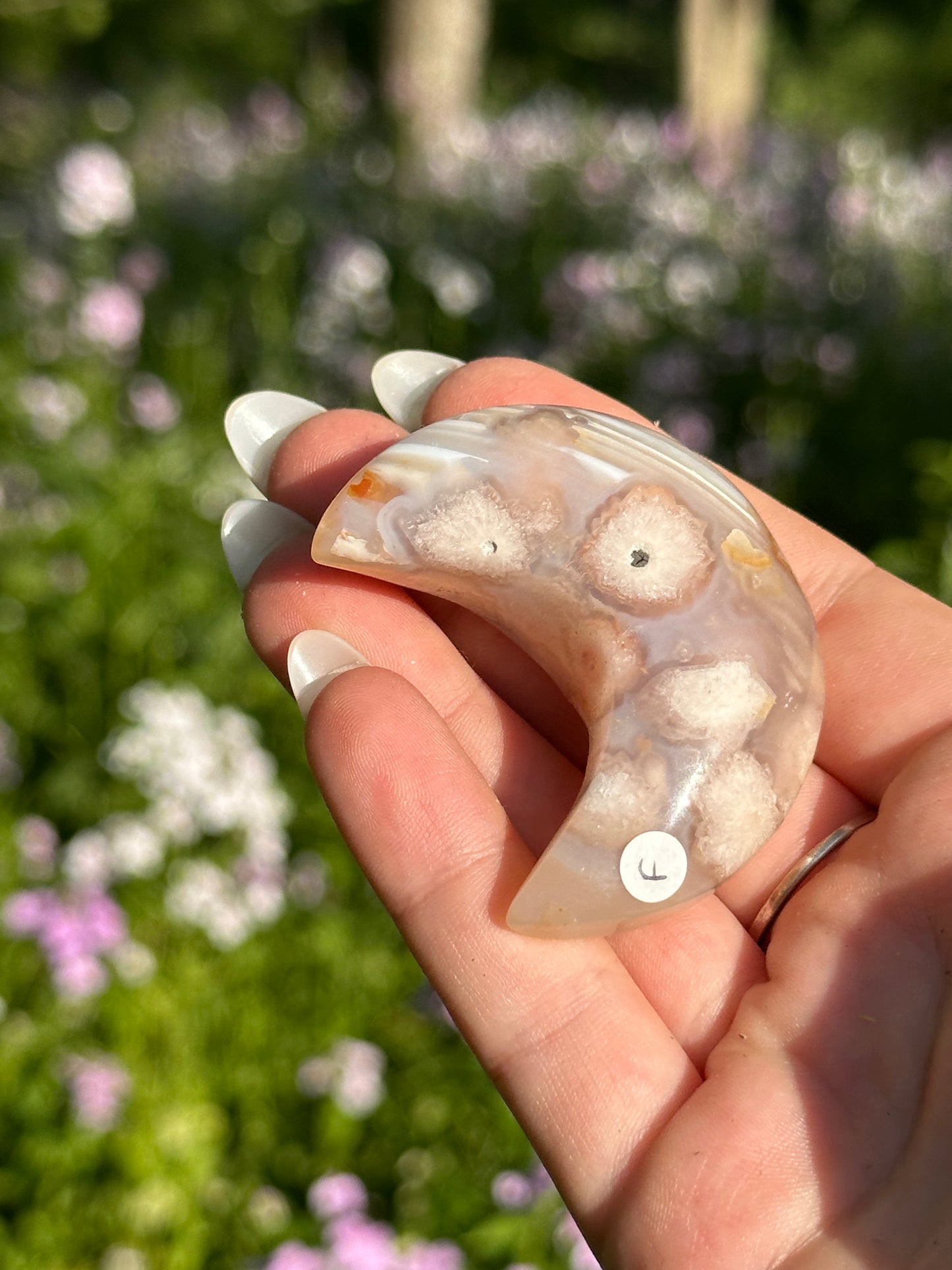 Flower Agate Moons