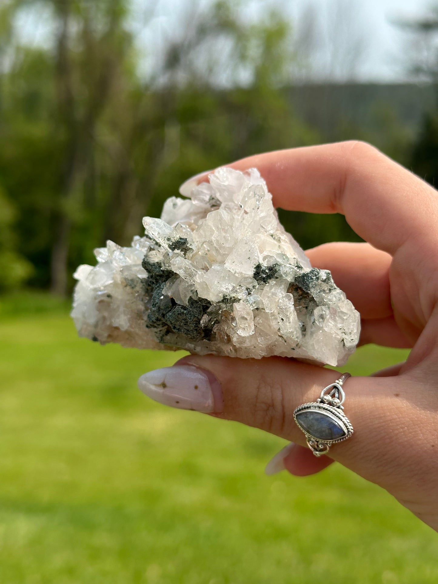Chlorite Quartz