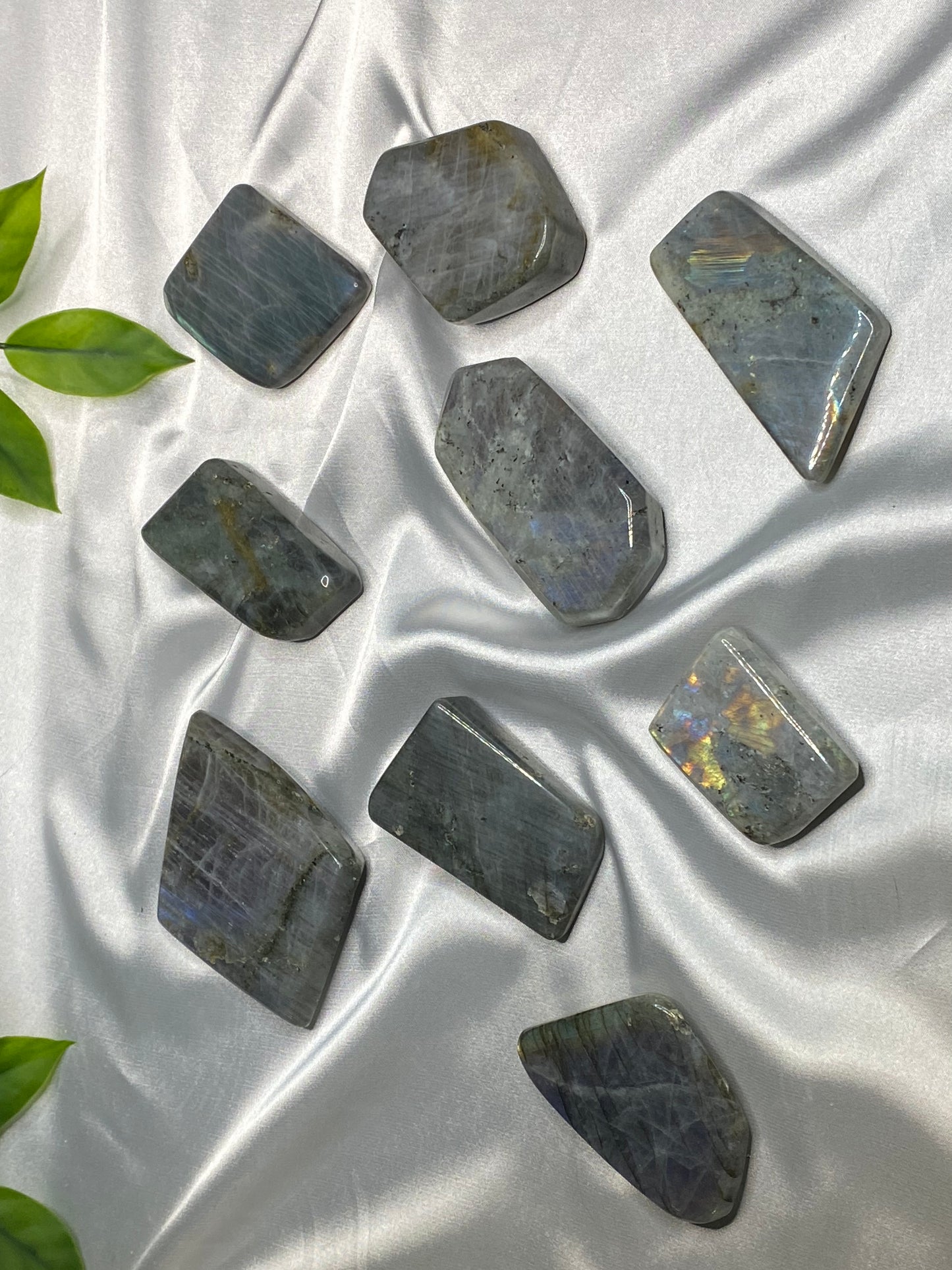 Small Labradorite Freeforms