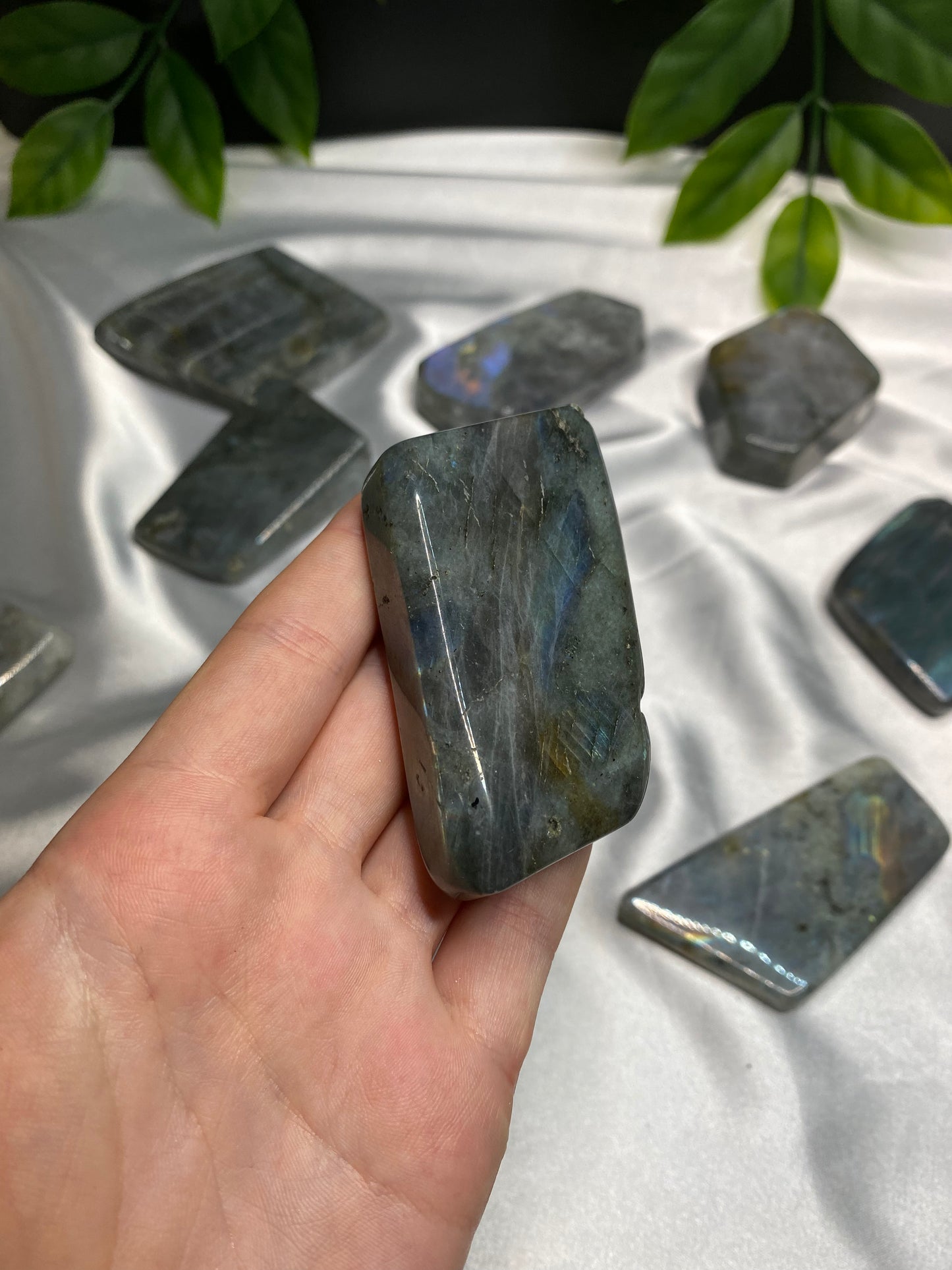 Small Labradorite Freeforms