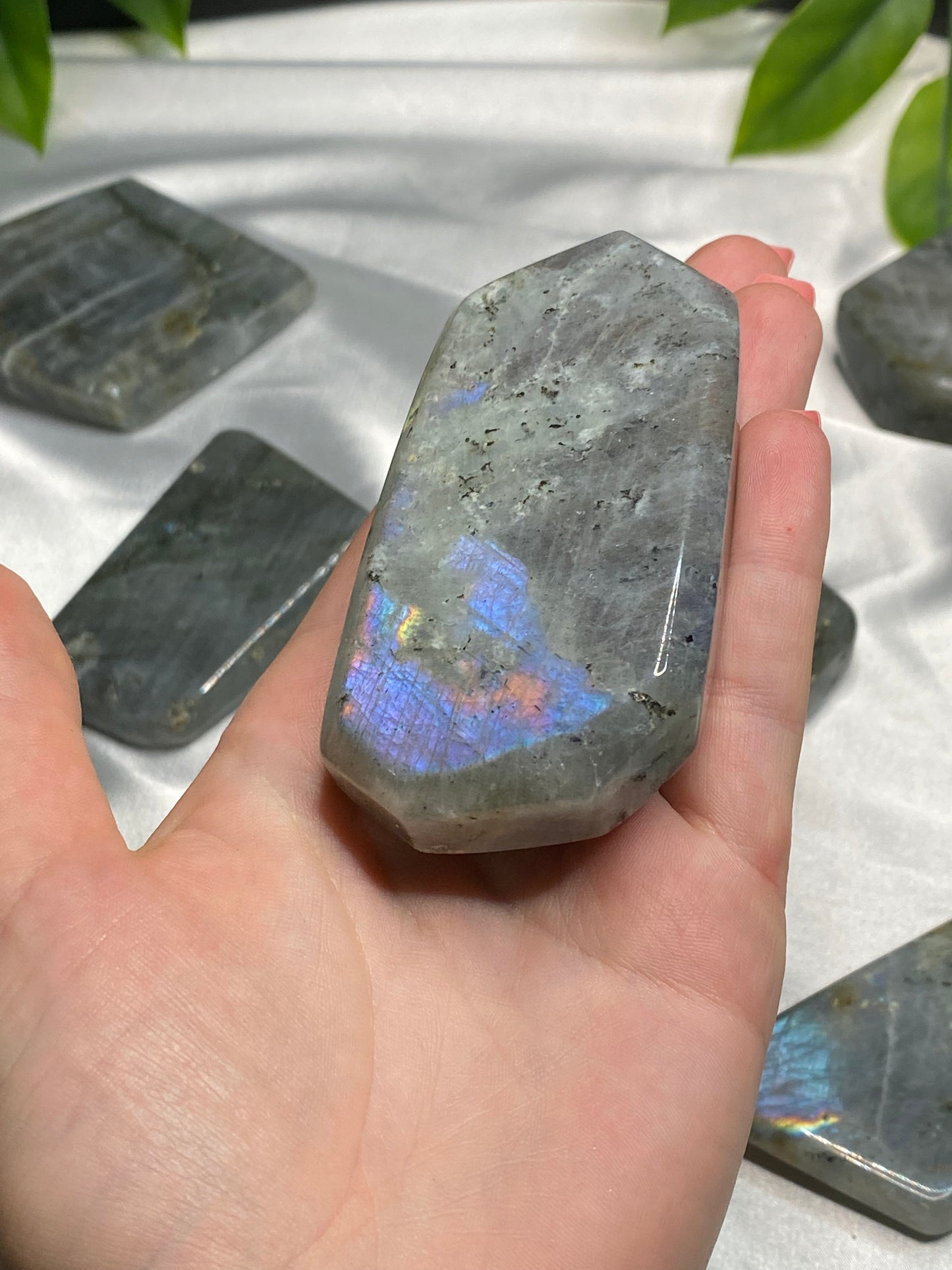 Small Labradorite Freeforms