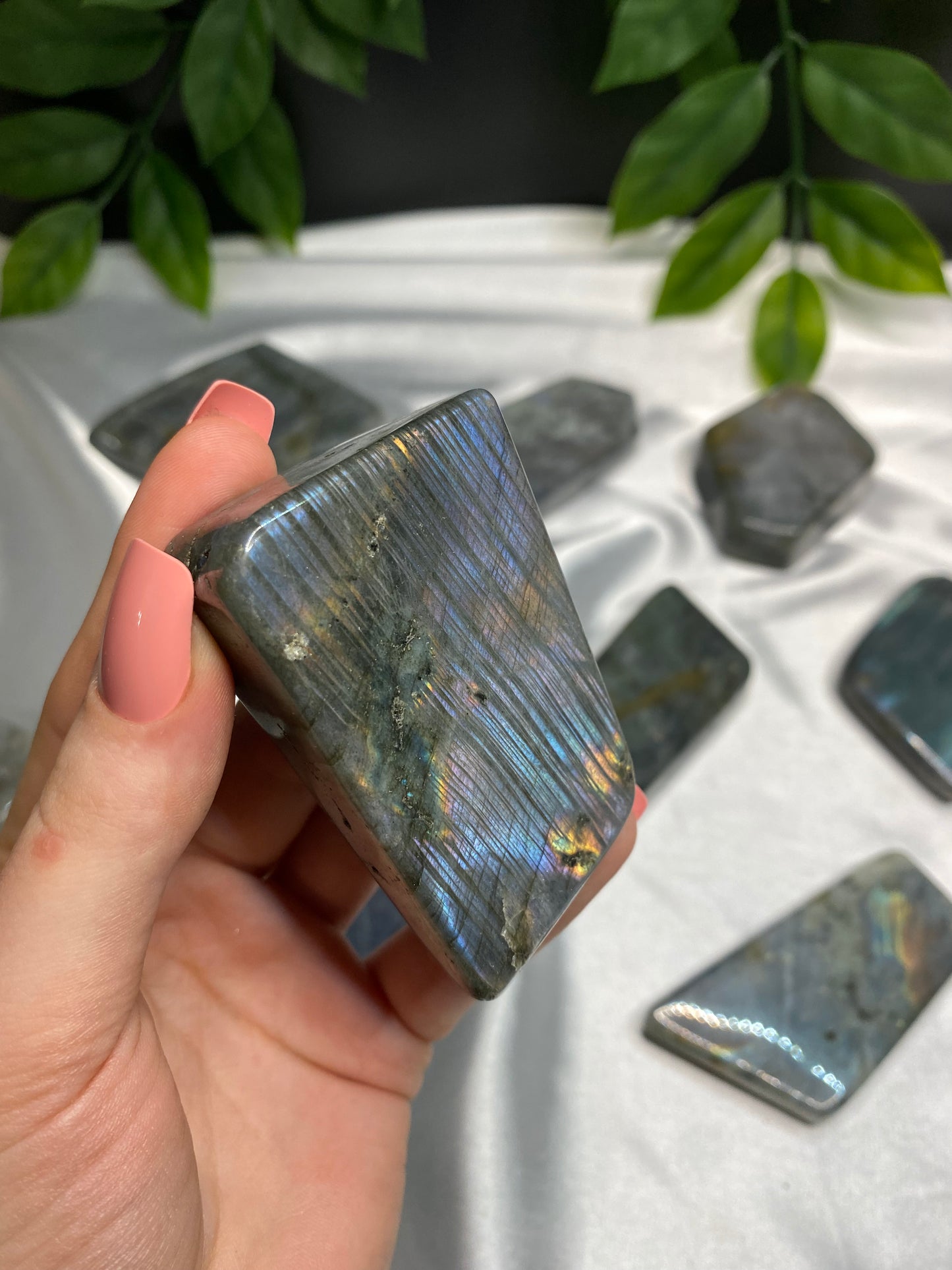 Small Labradorite Freeforms