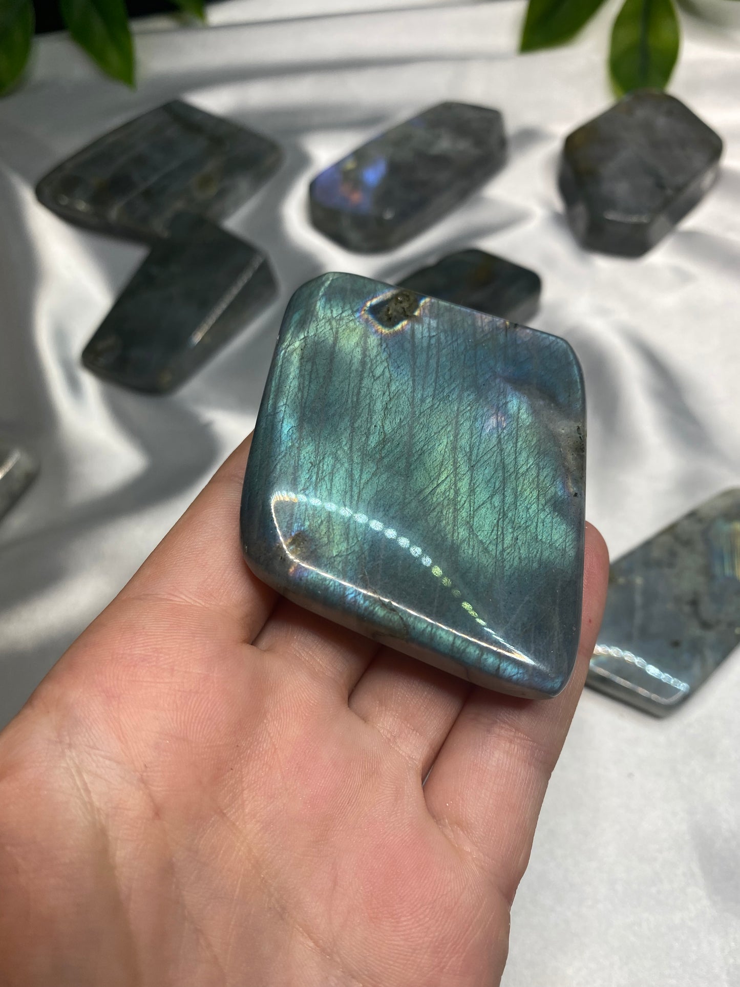 Small Labradorite Freeforms