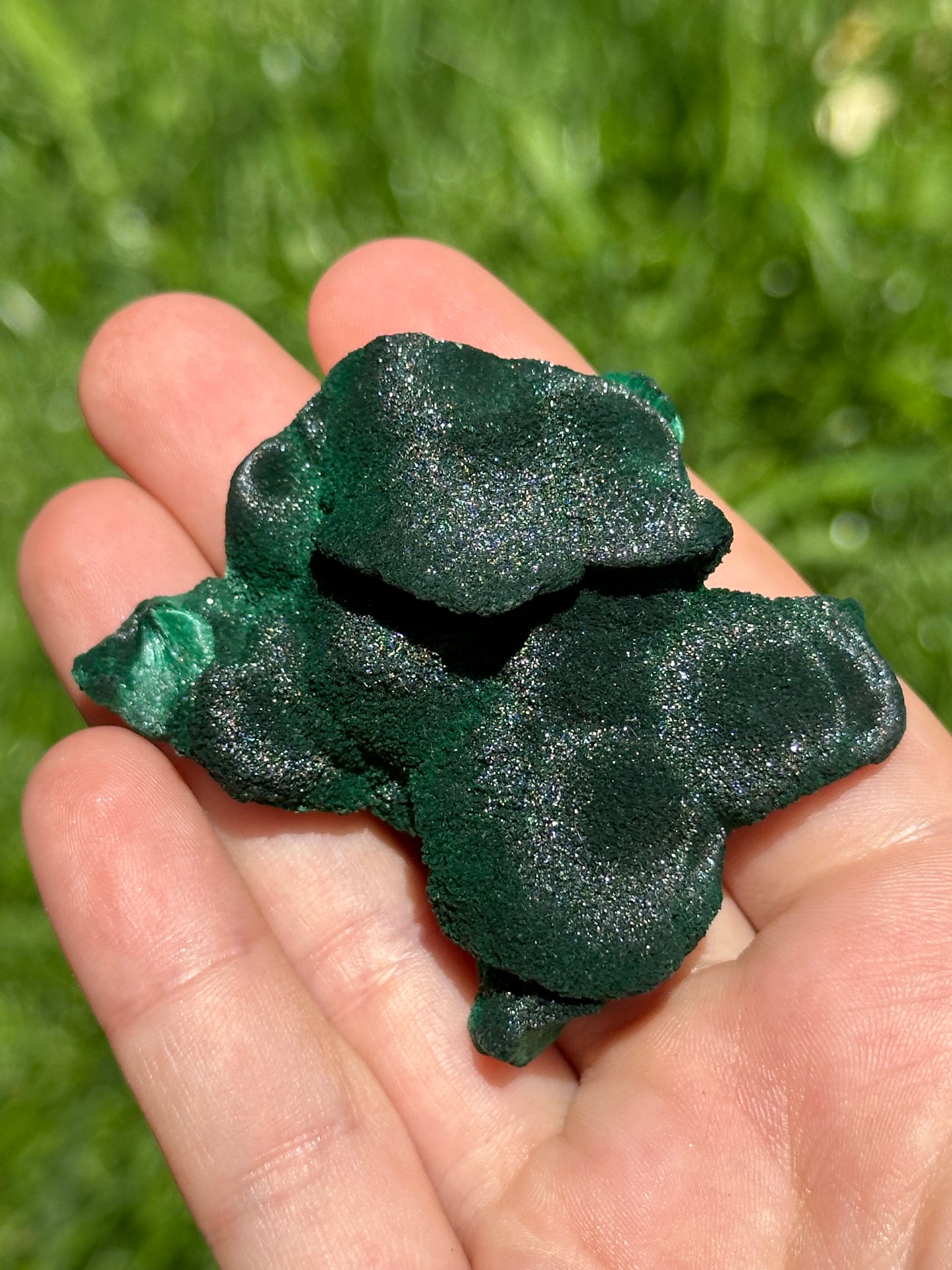 Velvet malachite